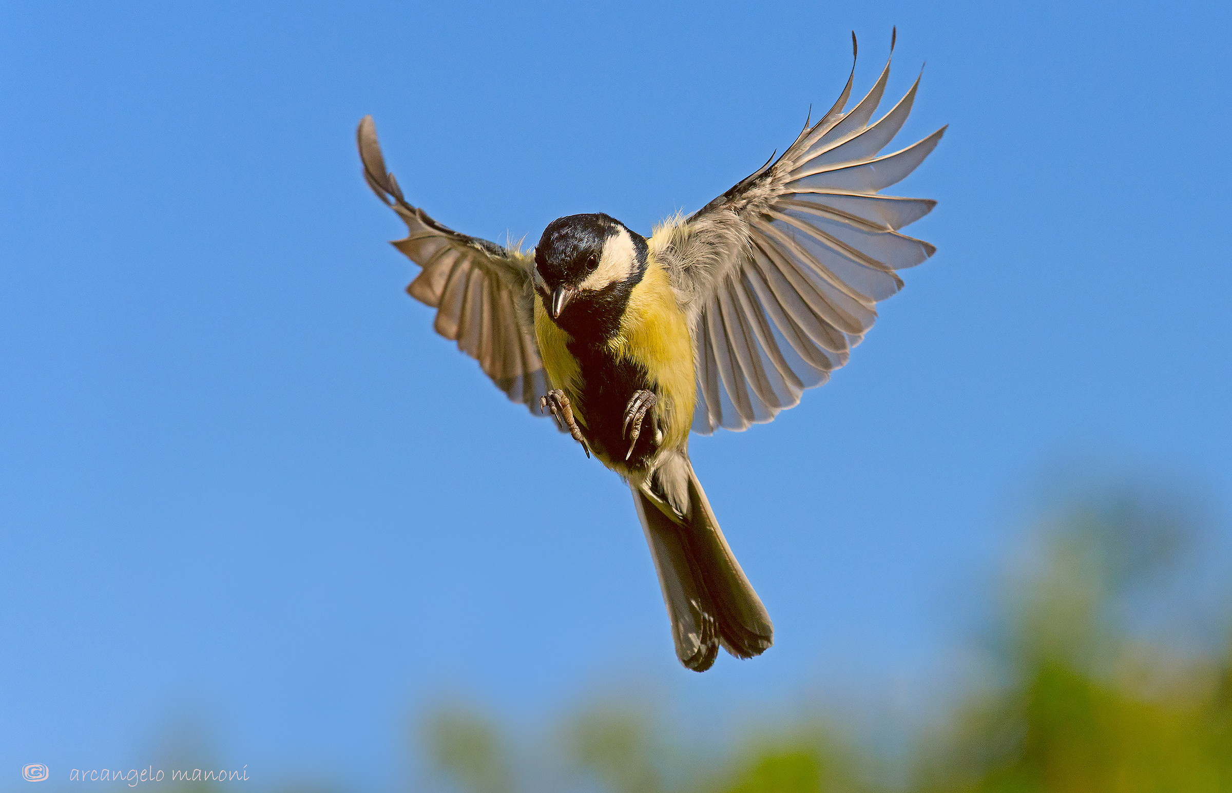 Il sole la cincia e il vento