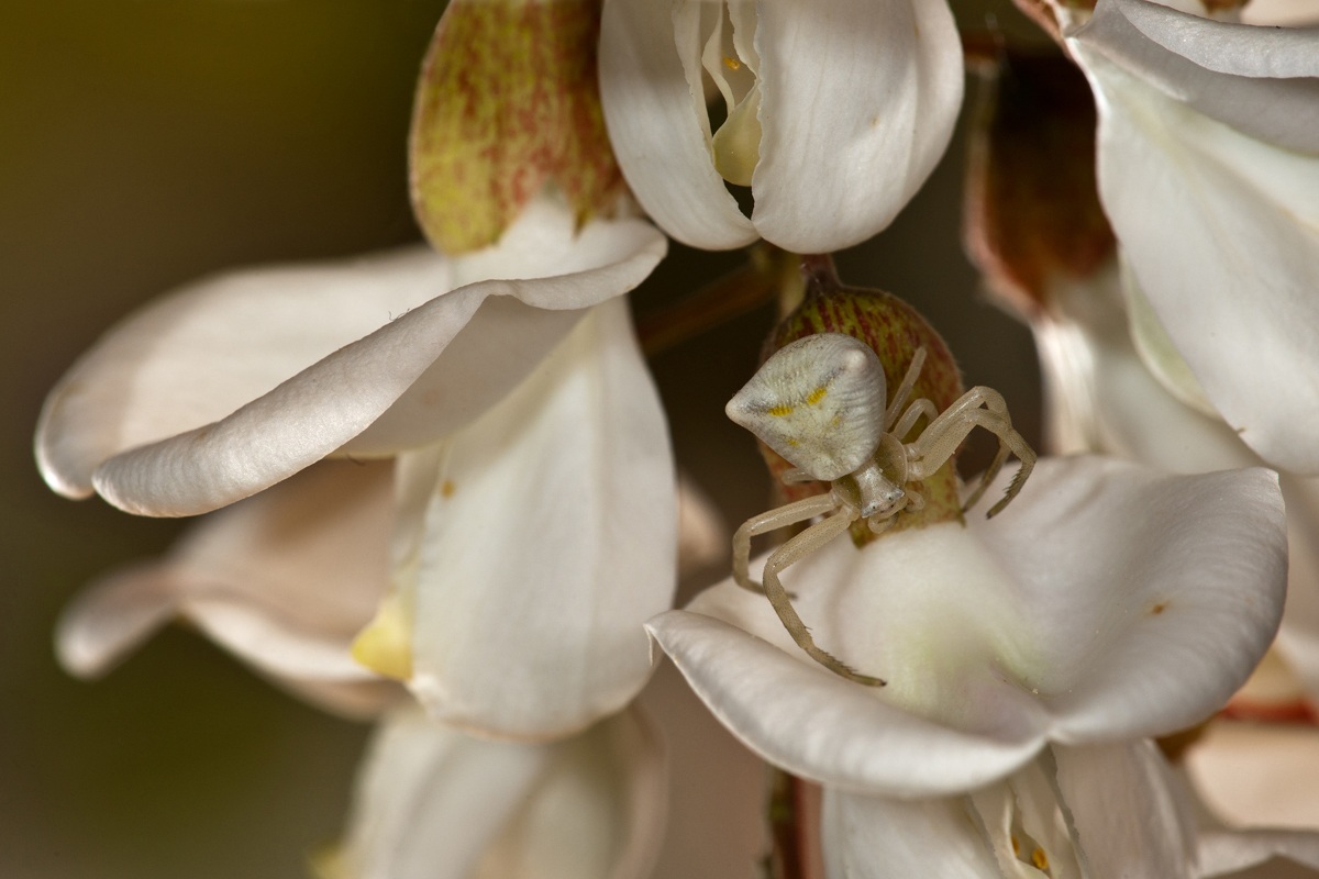 Waiting for the tomiside