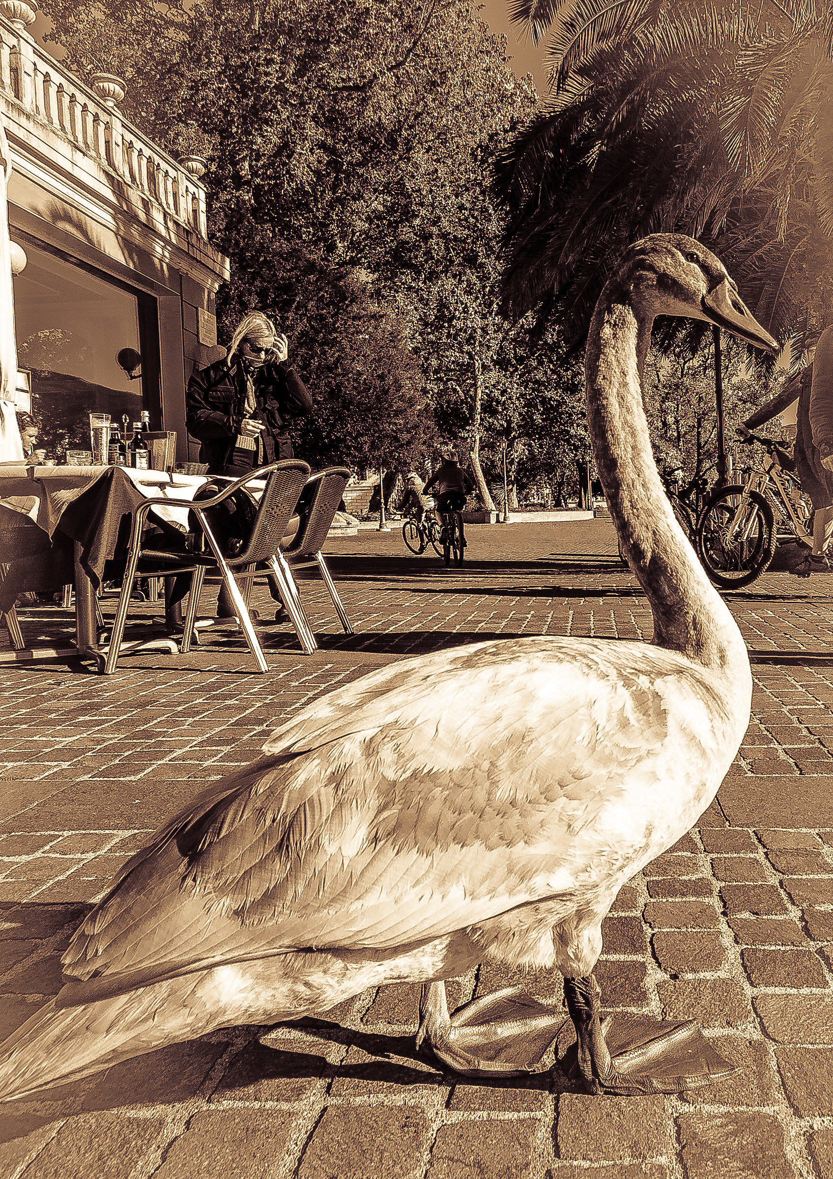 Street con un protagonista diverso