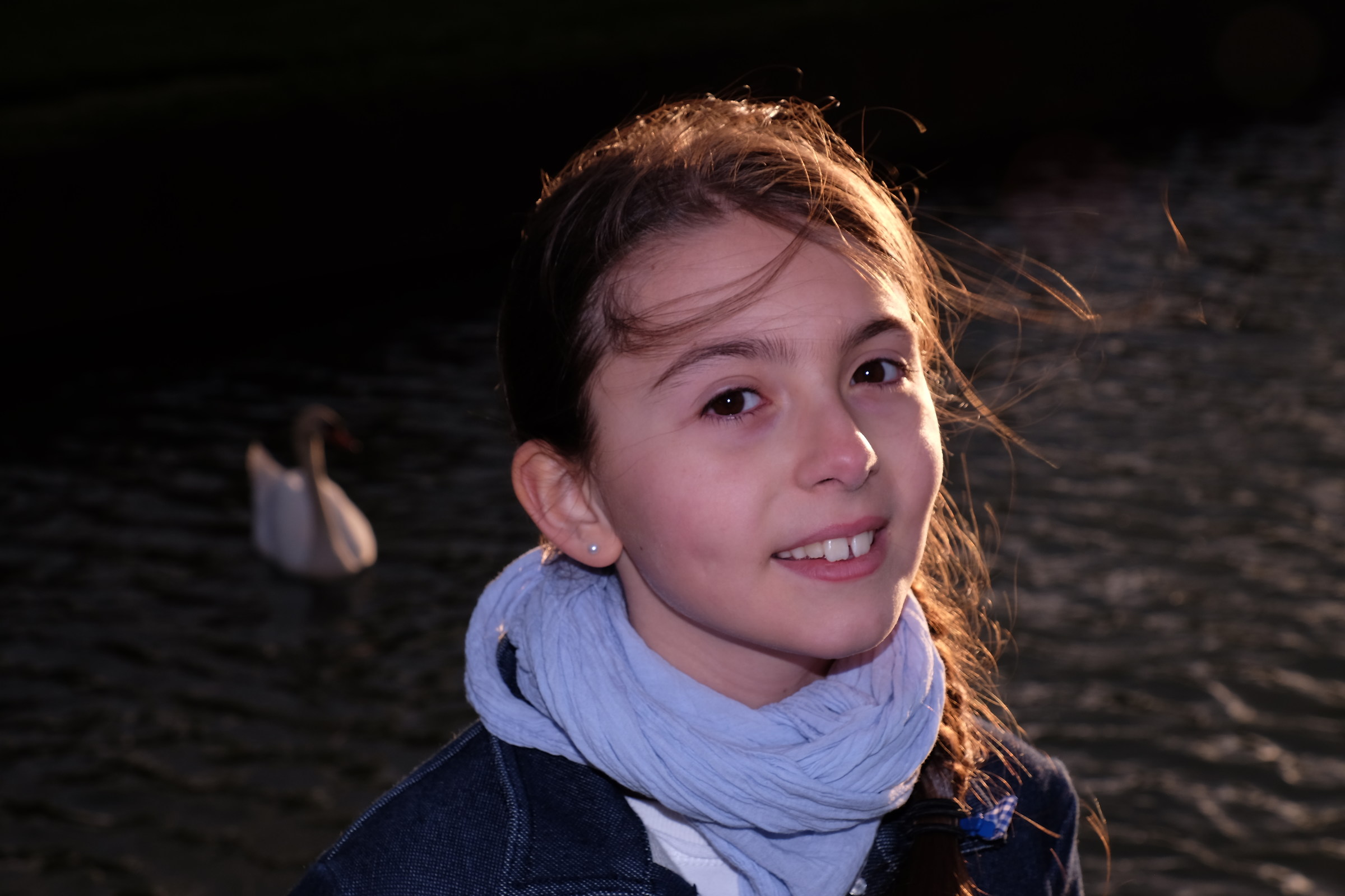 Swans Reggia Venaria