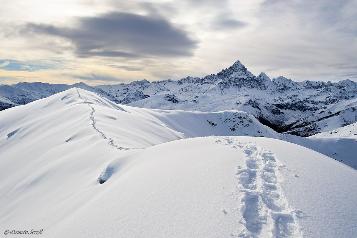 Monviso from Punta Ostanetta (mt. 2385)