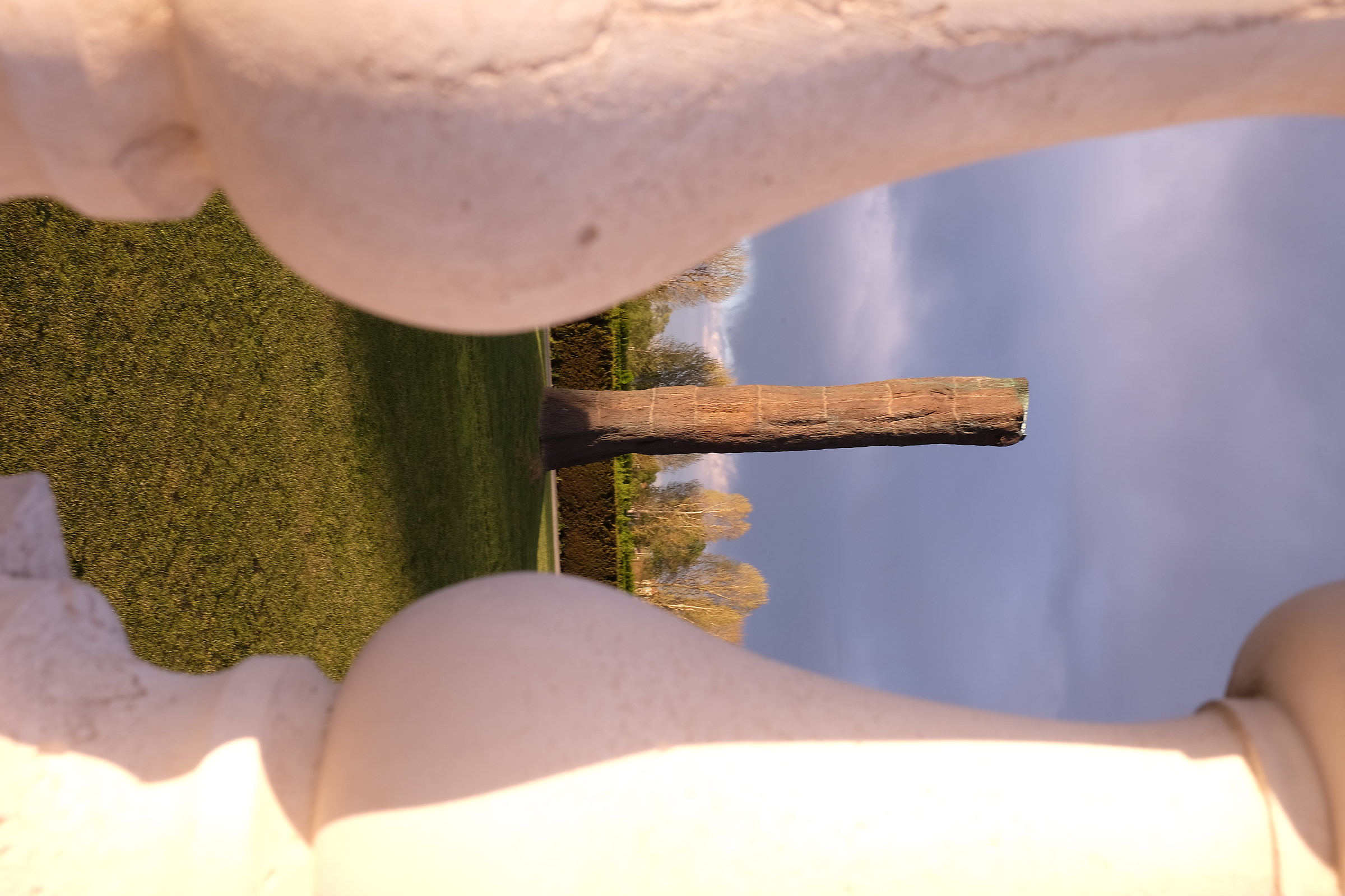 Trunk Reggia Venaria