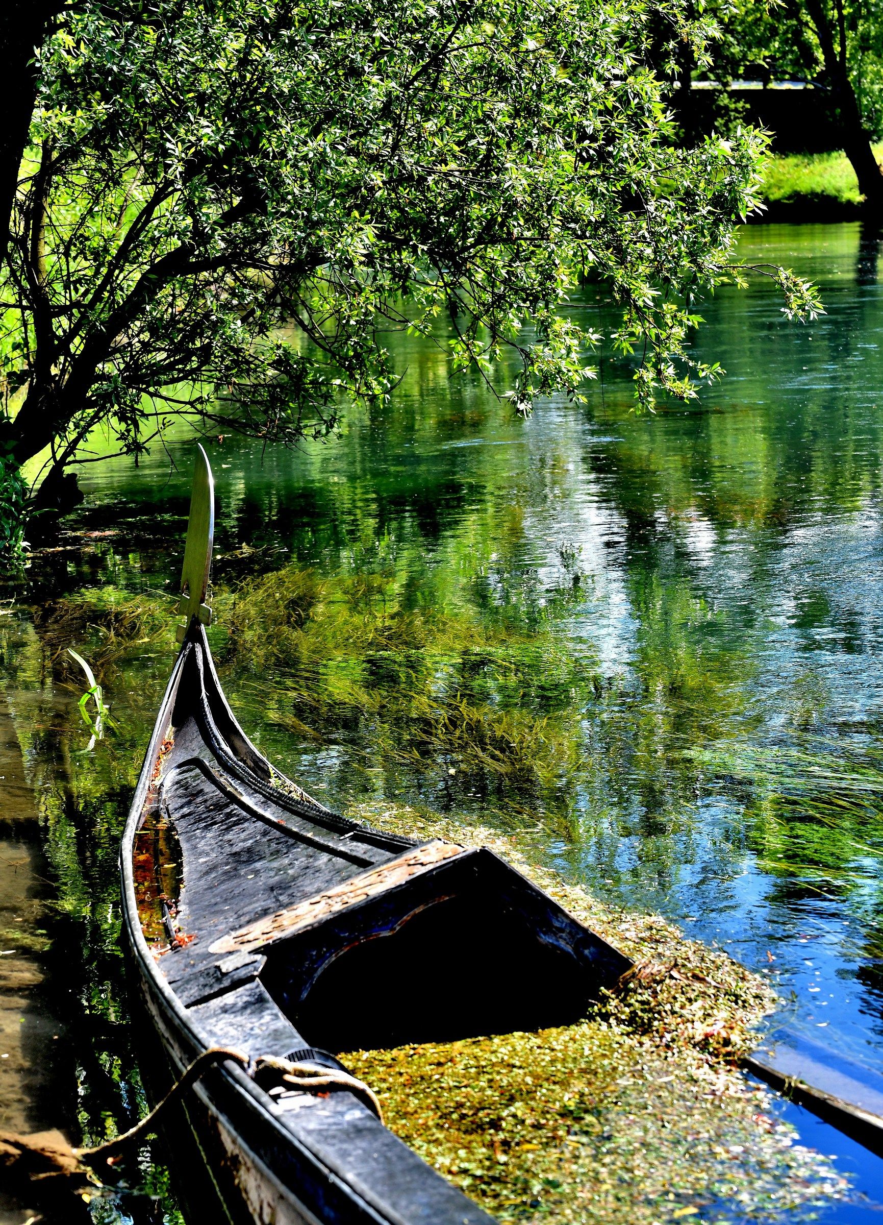 the gondola cornucopia of beauty
