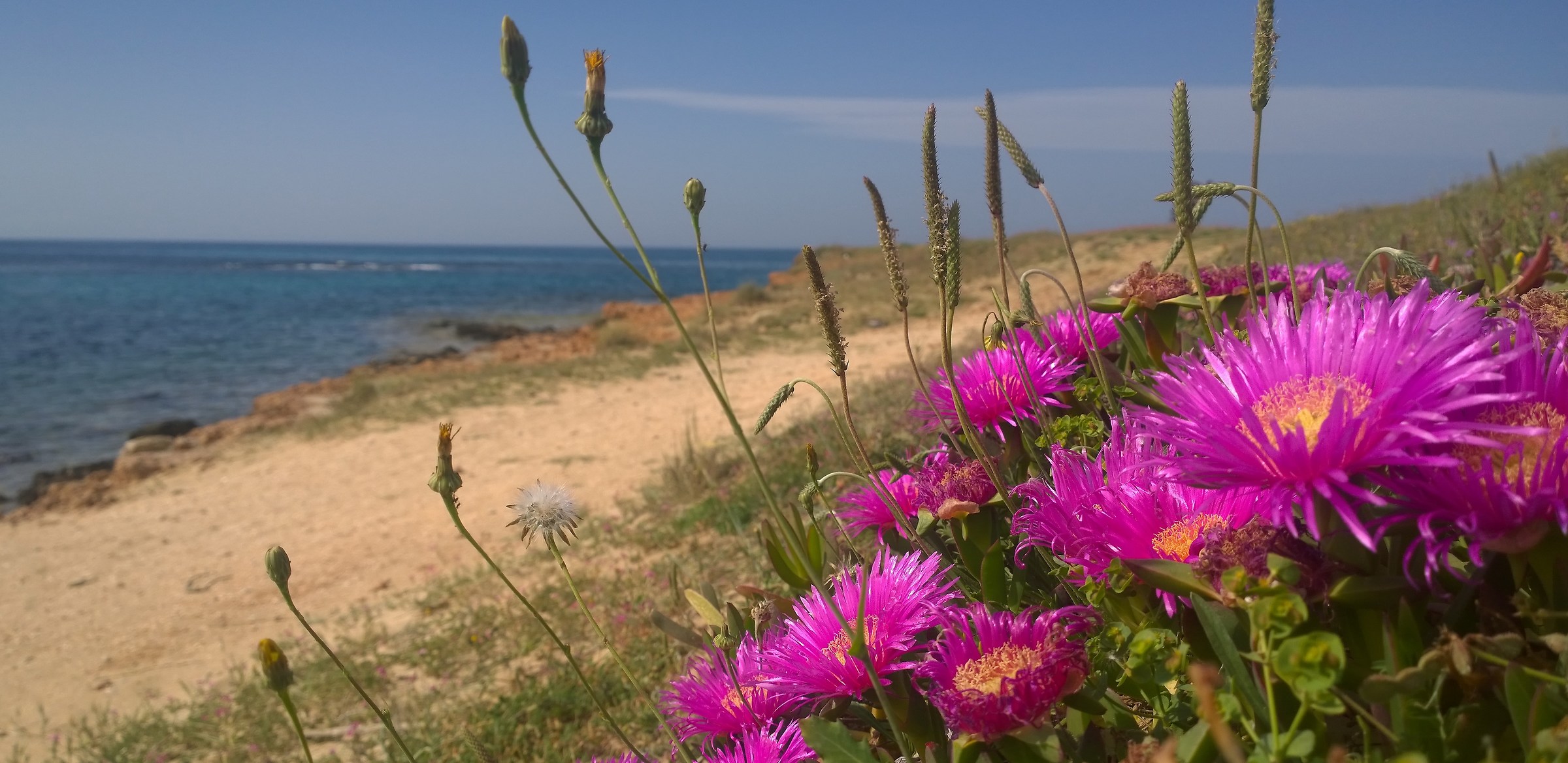 a few meters from the sand