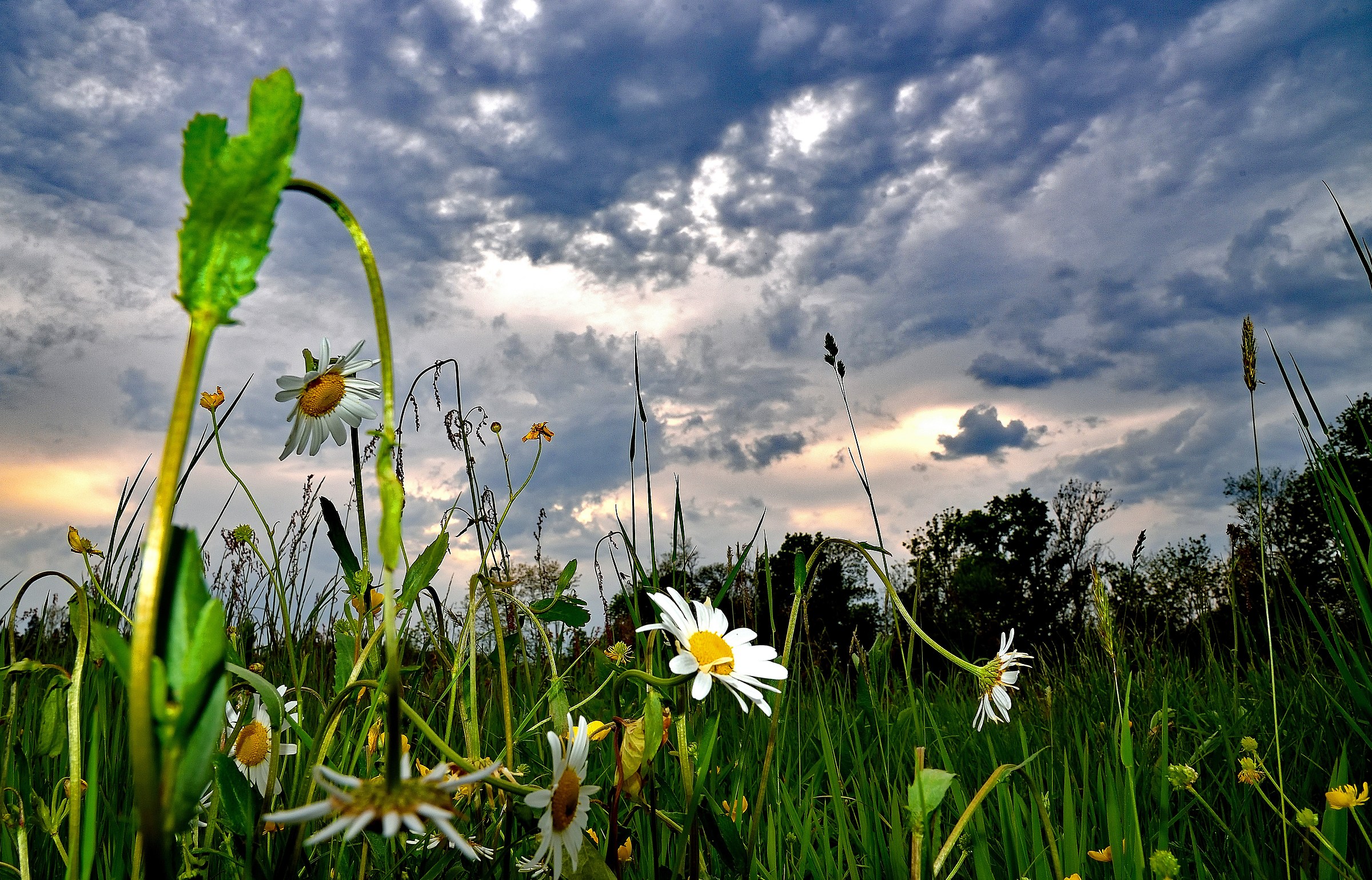 Profumo di primavera