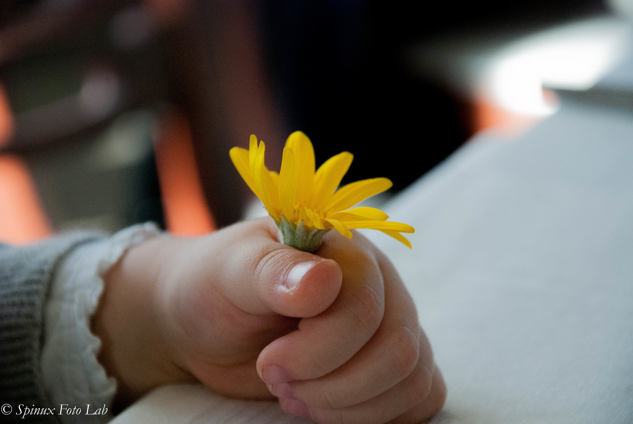 I'll give you a flower