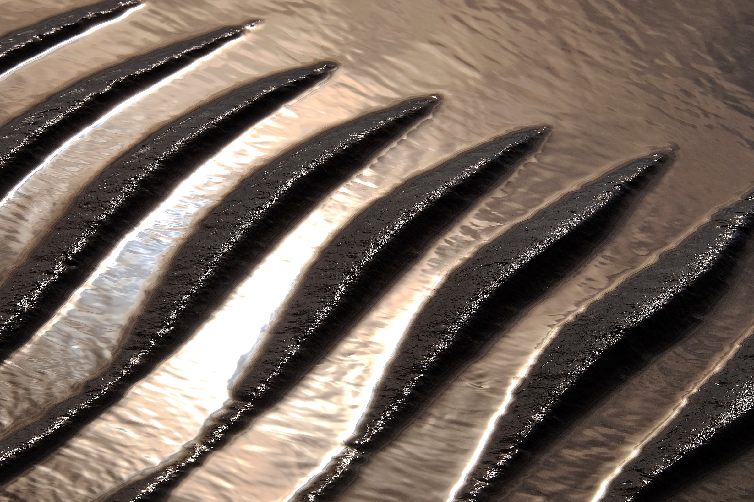 The flow label water