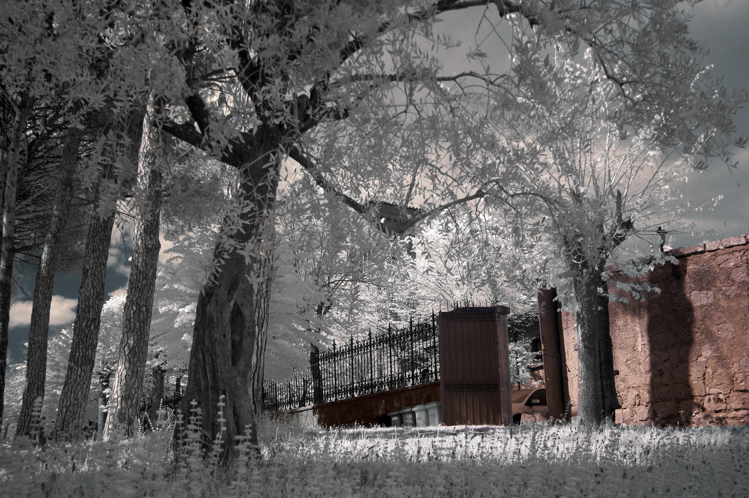 St. Joseph Basilica - Castel S. Elia