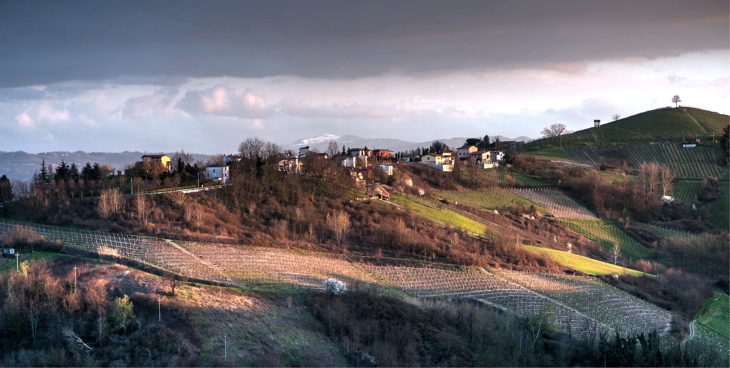 Canneto Pavese (Landscape Oltrepò Pavese) Italy