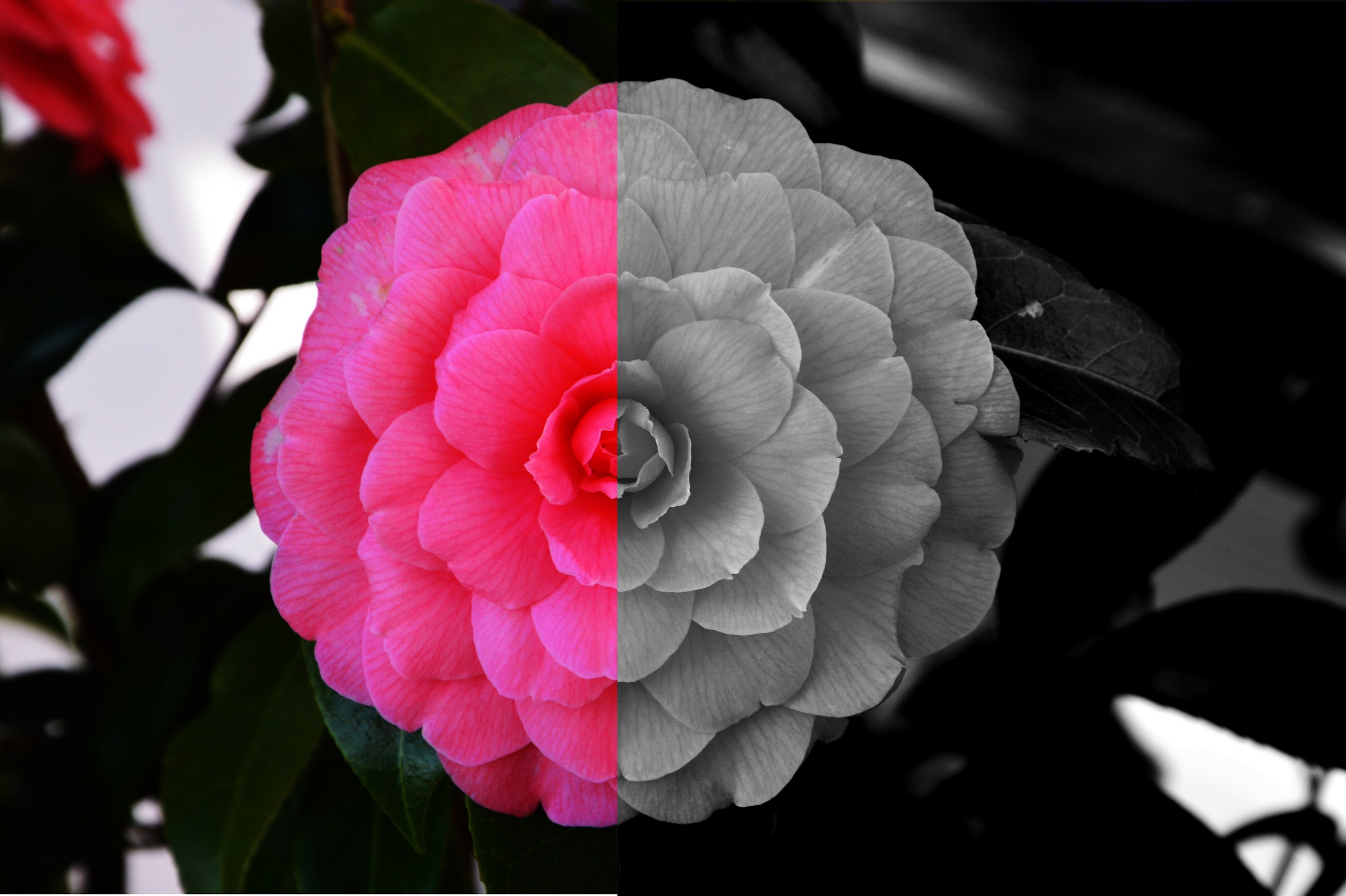 And if the colors do not exist?