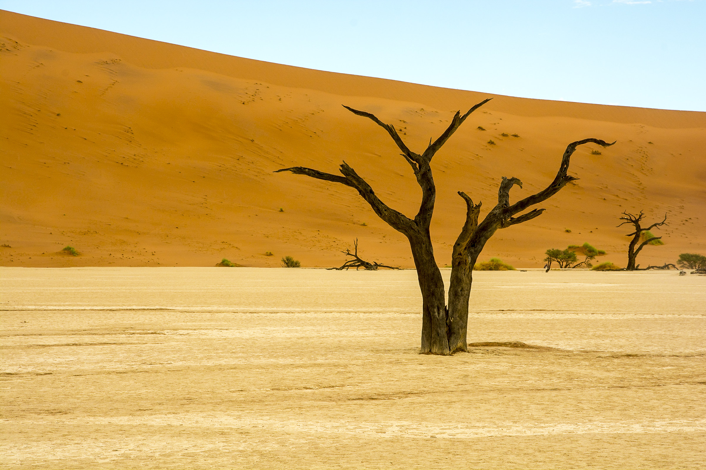 deserto del namib - deadvlei