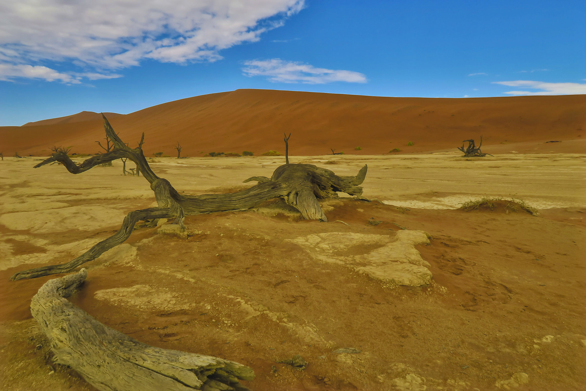 Namib desert - deadvlei