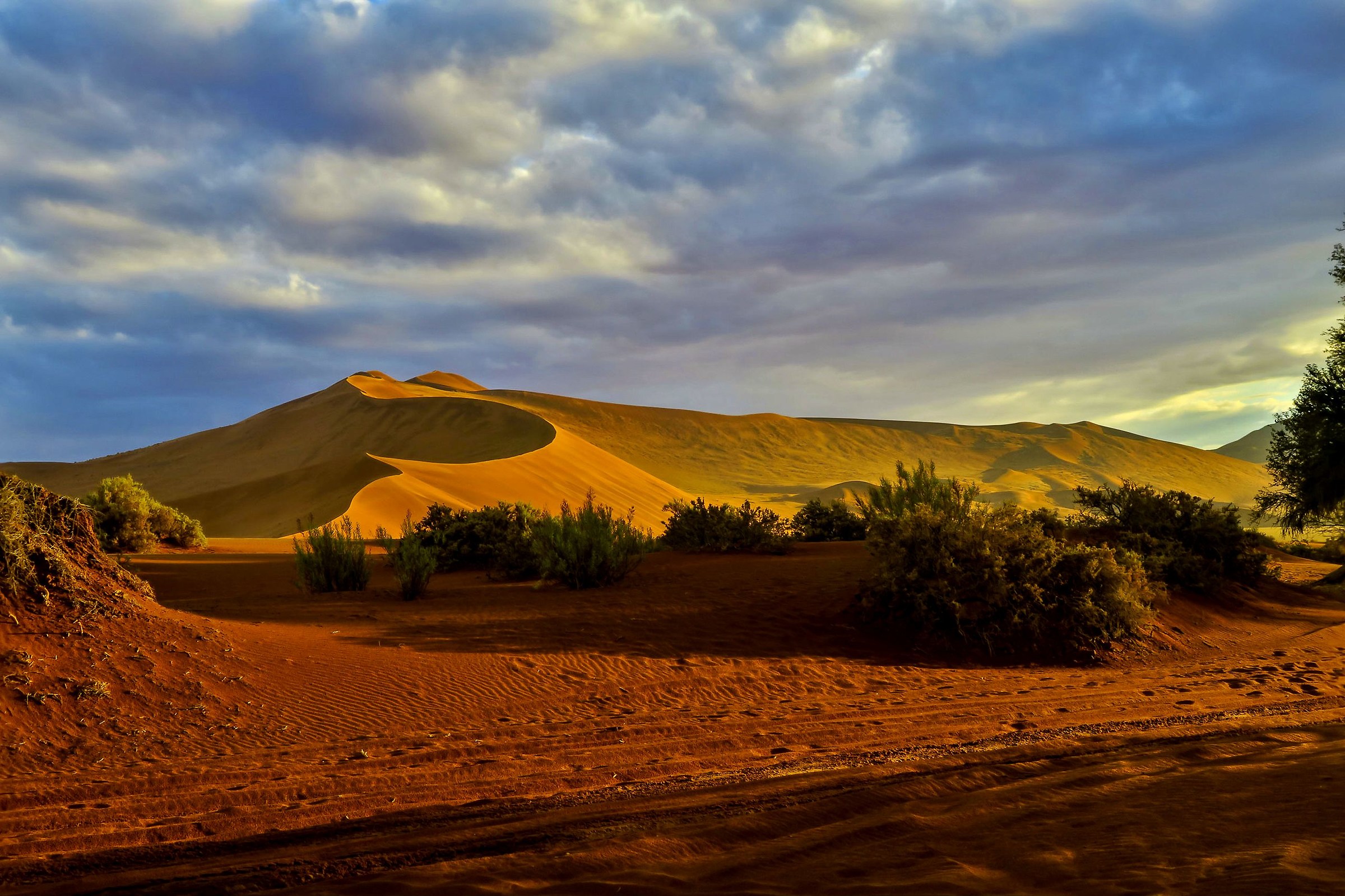alba nel deserto del namib