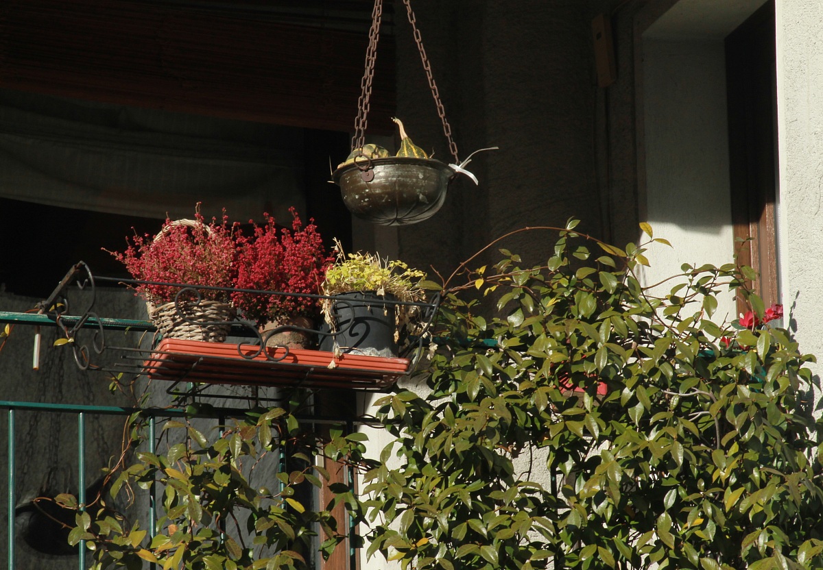 Balcony winter in Tirano