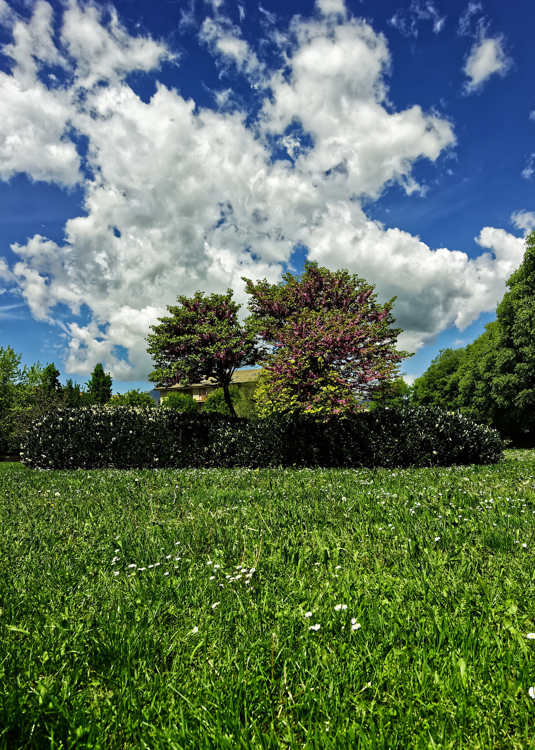 Garden Carlo Alberto Dalla Chiesa