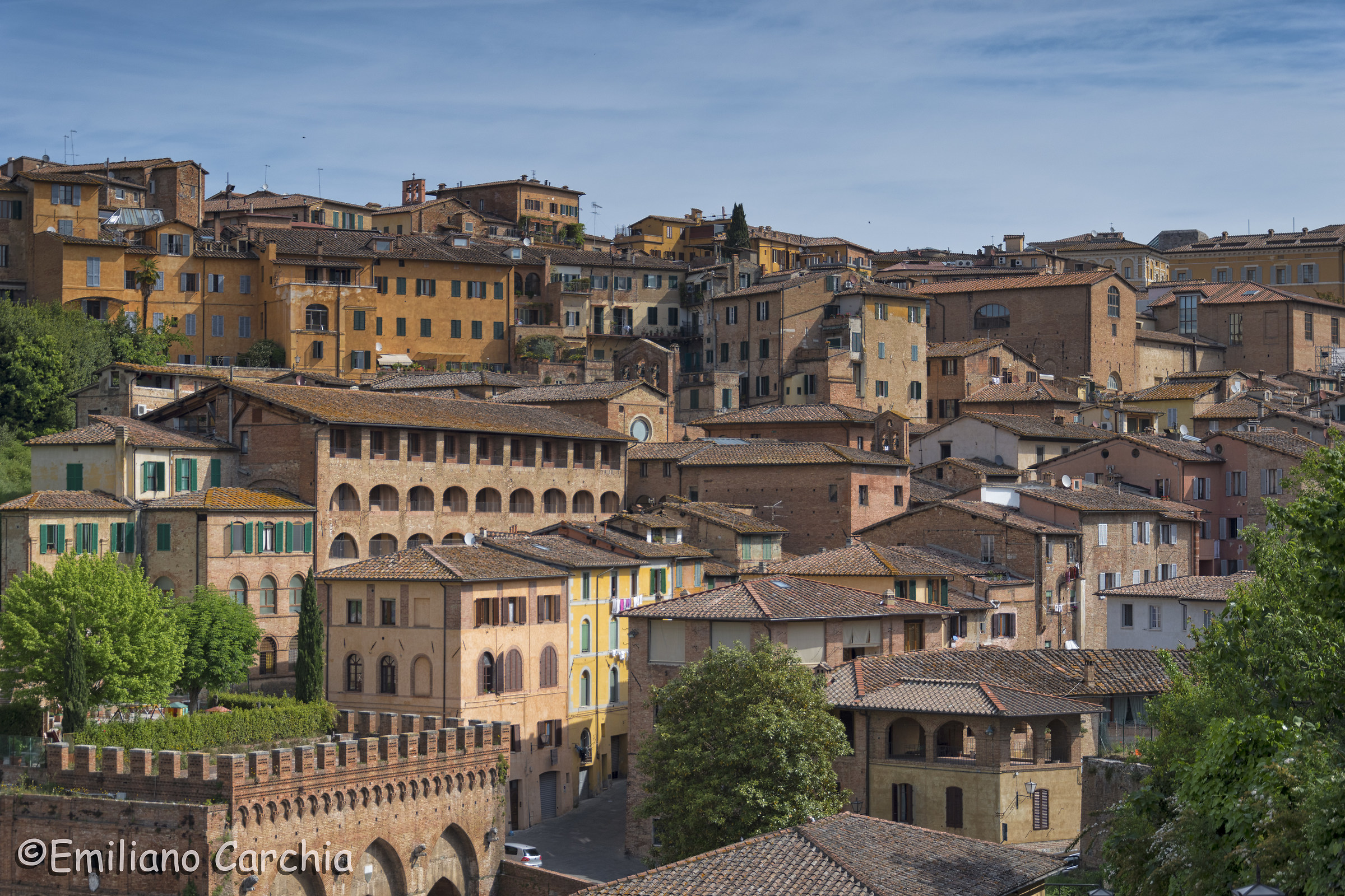 The roofs of Siena