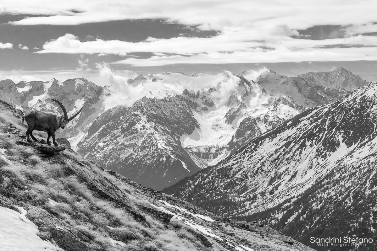 Into The Painted Grey