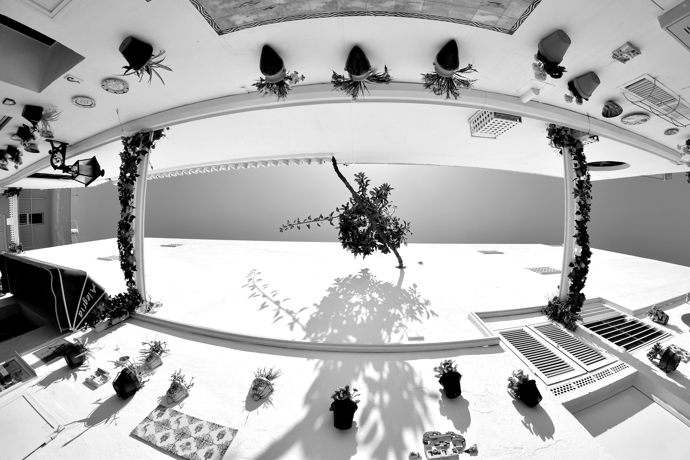 Come Bizarre è quello?!?