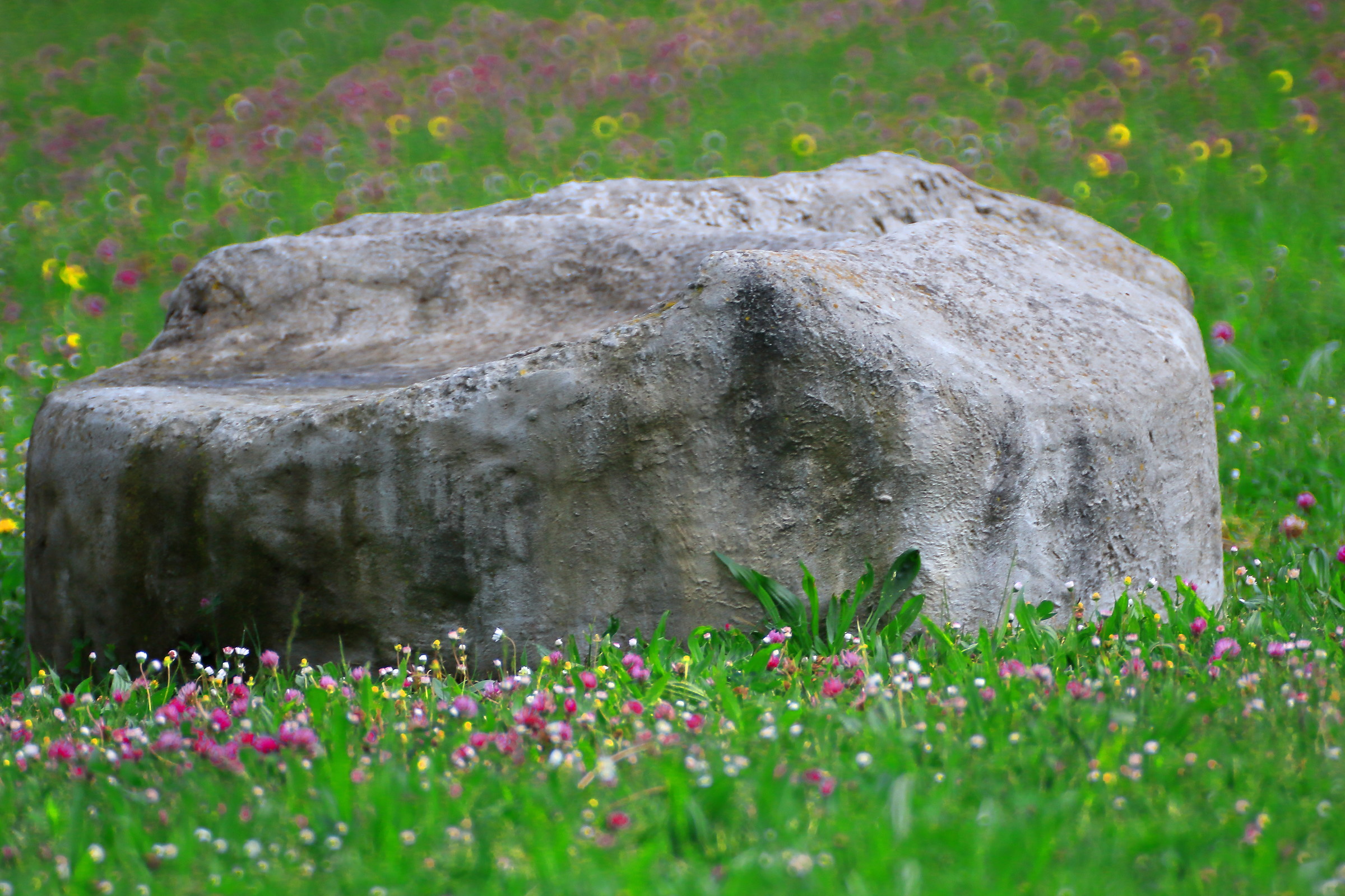 a walk with the catadioptric