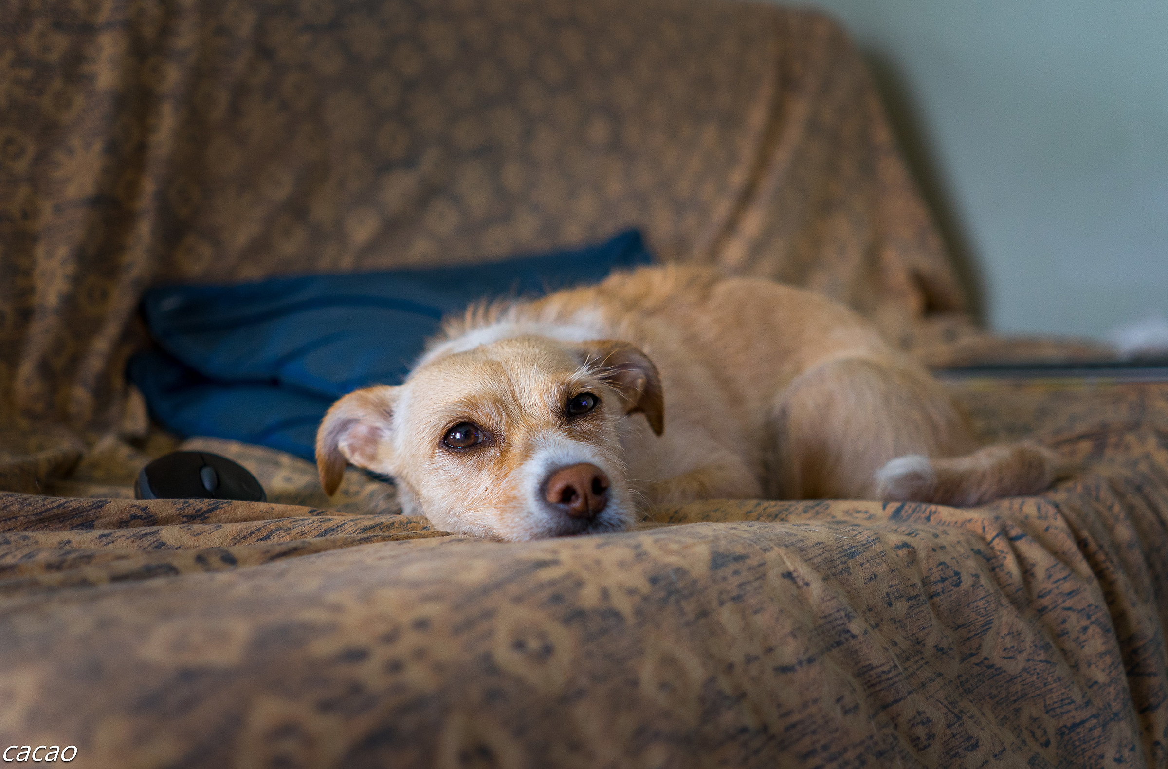 Lula rests for May 1 Labor Day