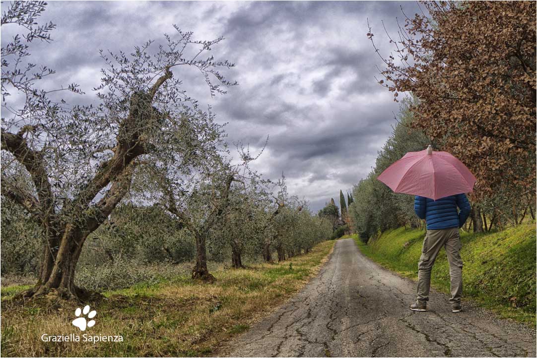 The man and the rain ...