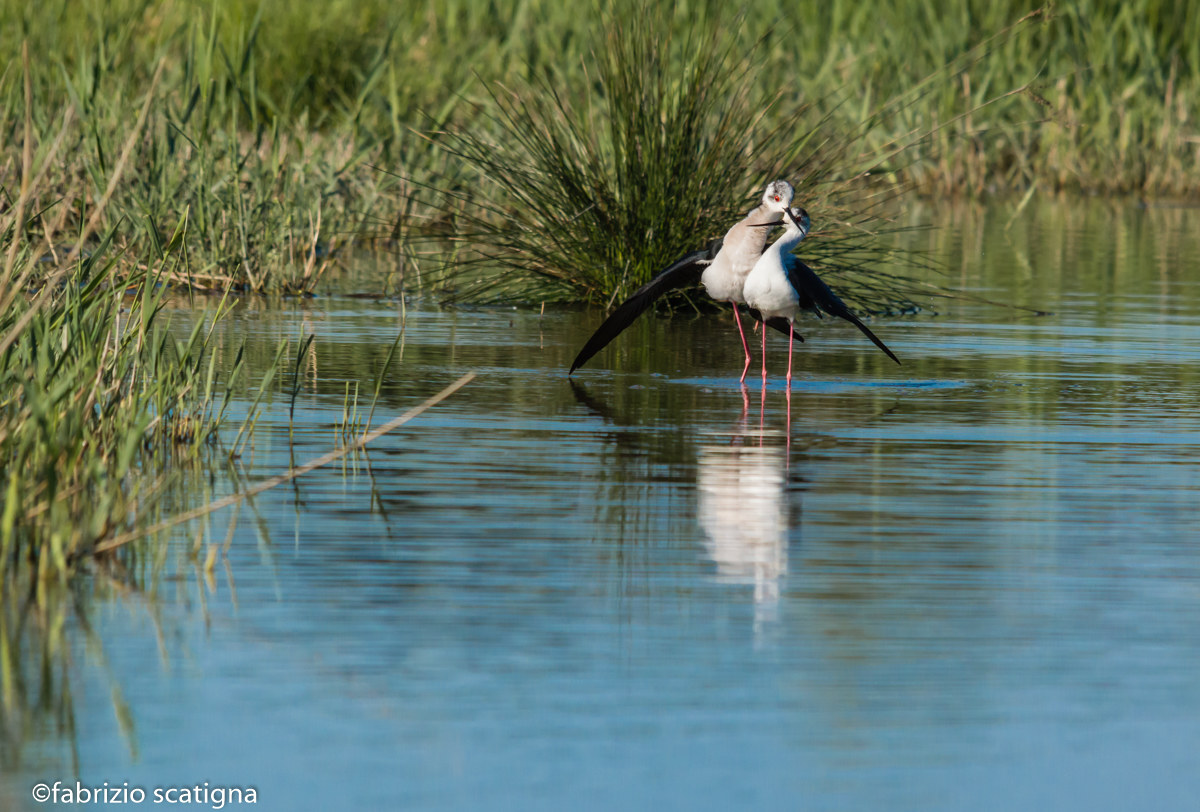 intertwining of love