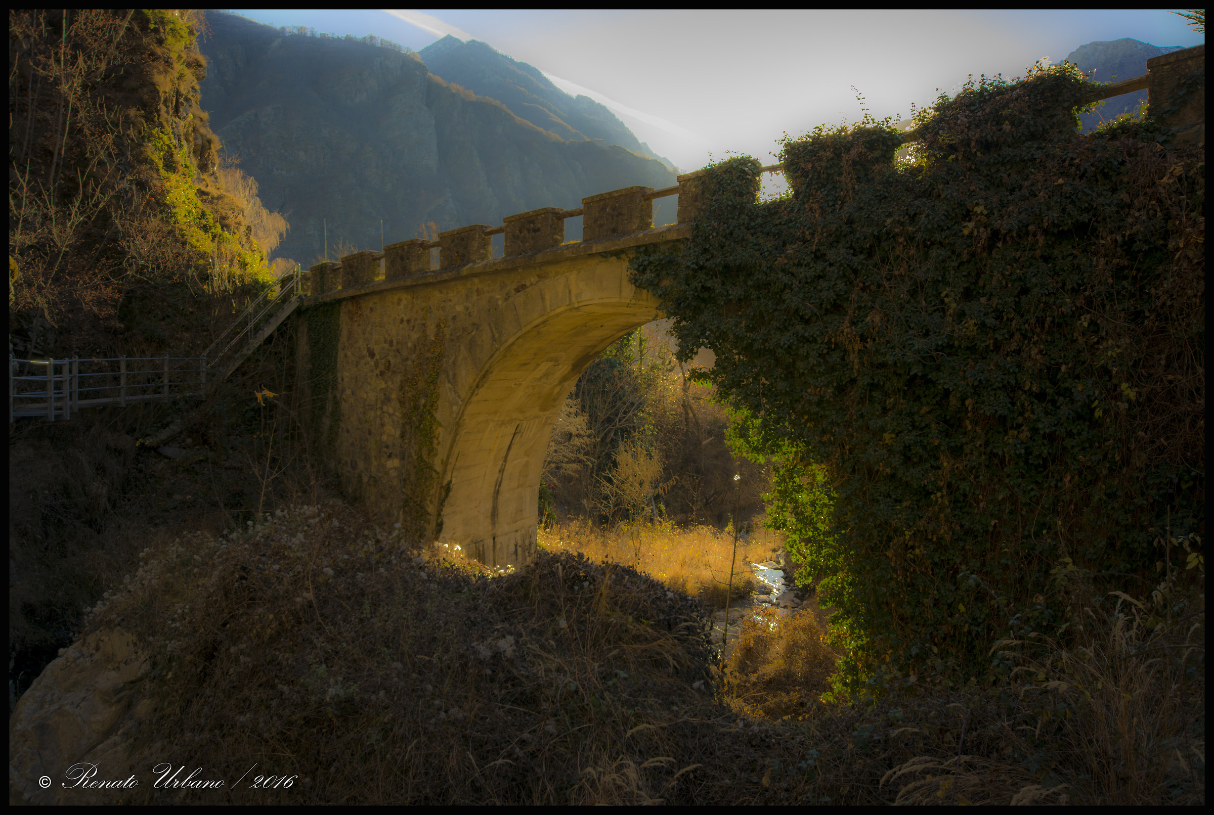 The bridge and the ivy