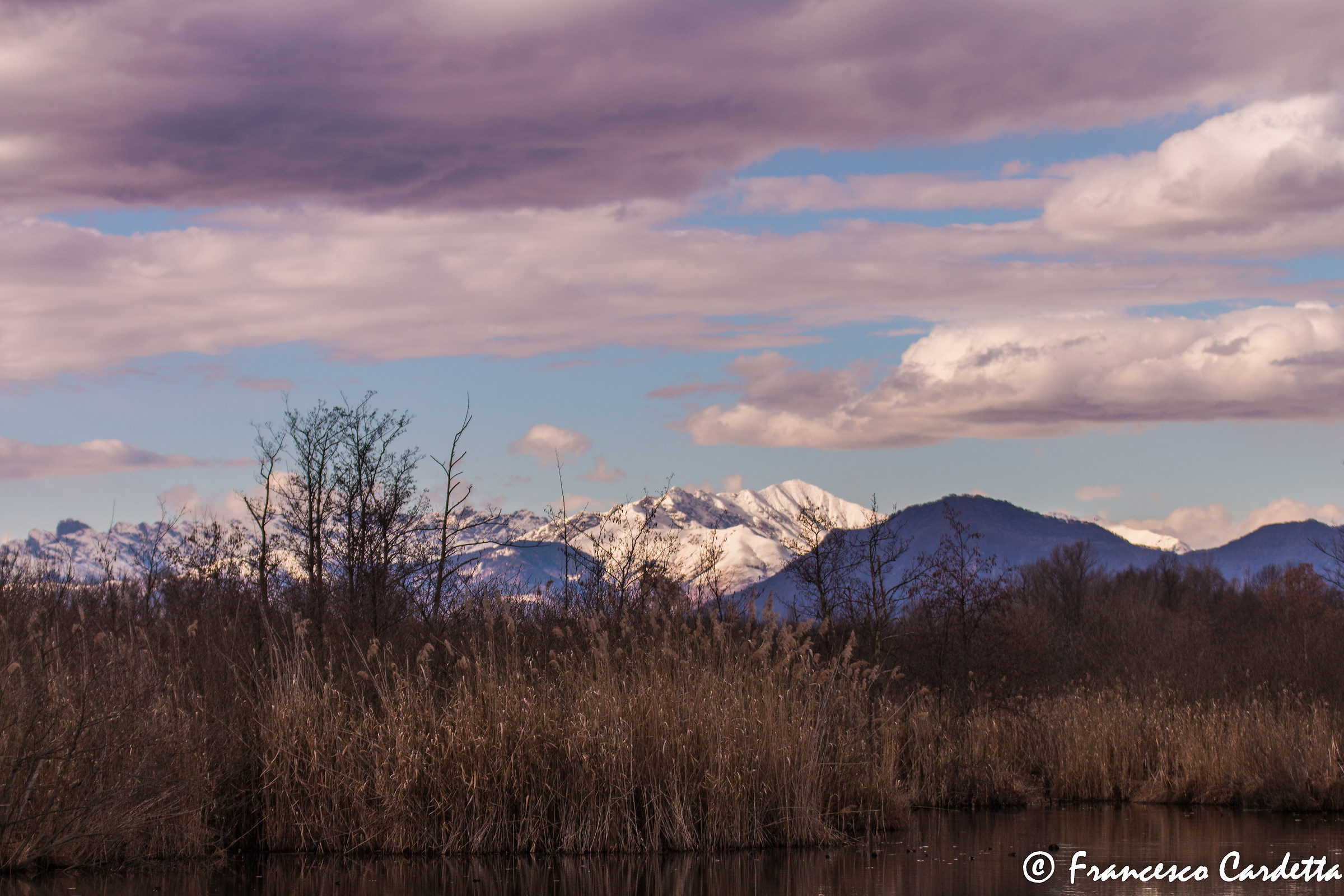 Vista dalla palude Brabbia