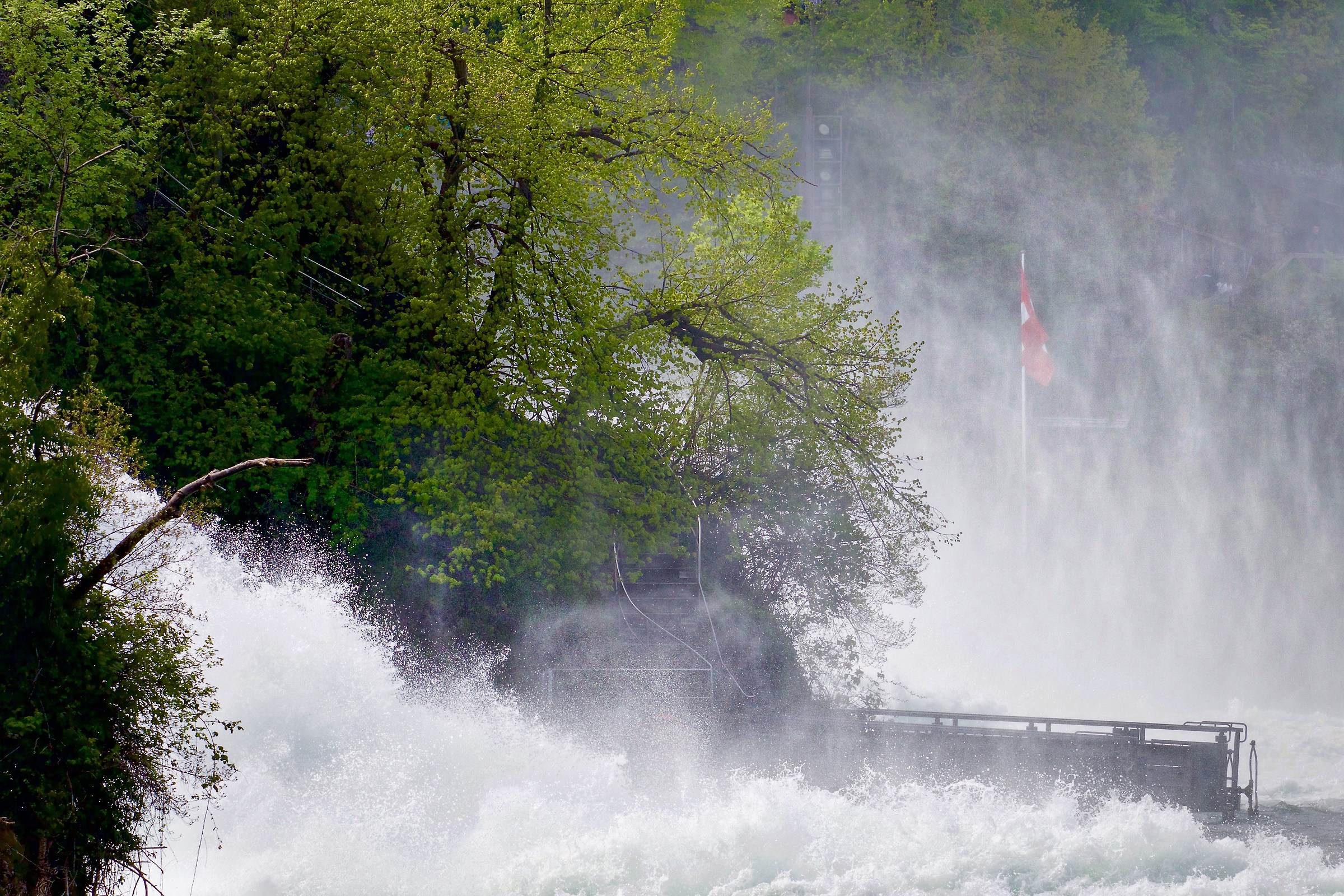 Rheinfalls - Rhine Falls