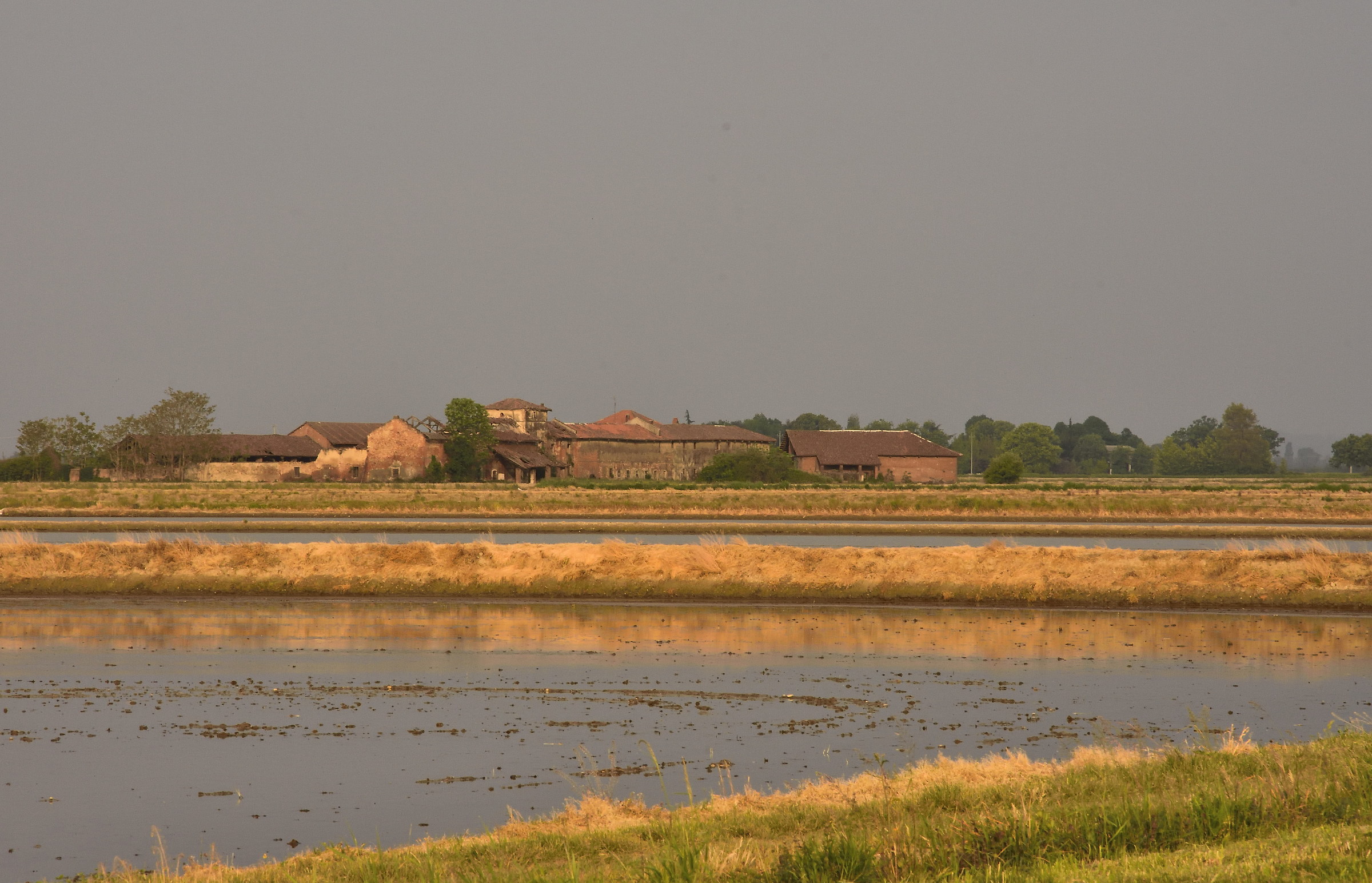 farm with rice paddies