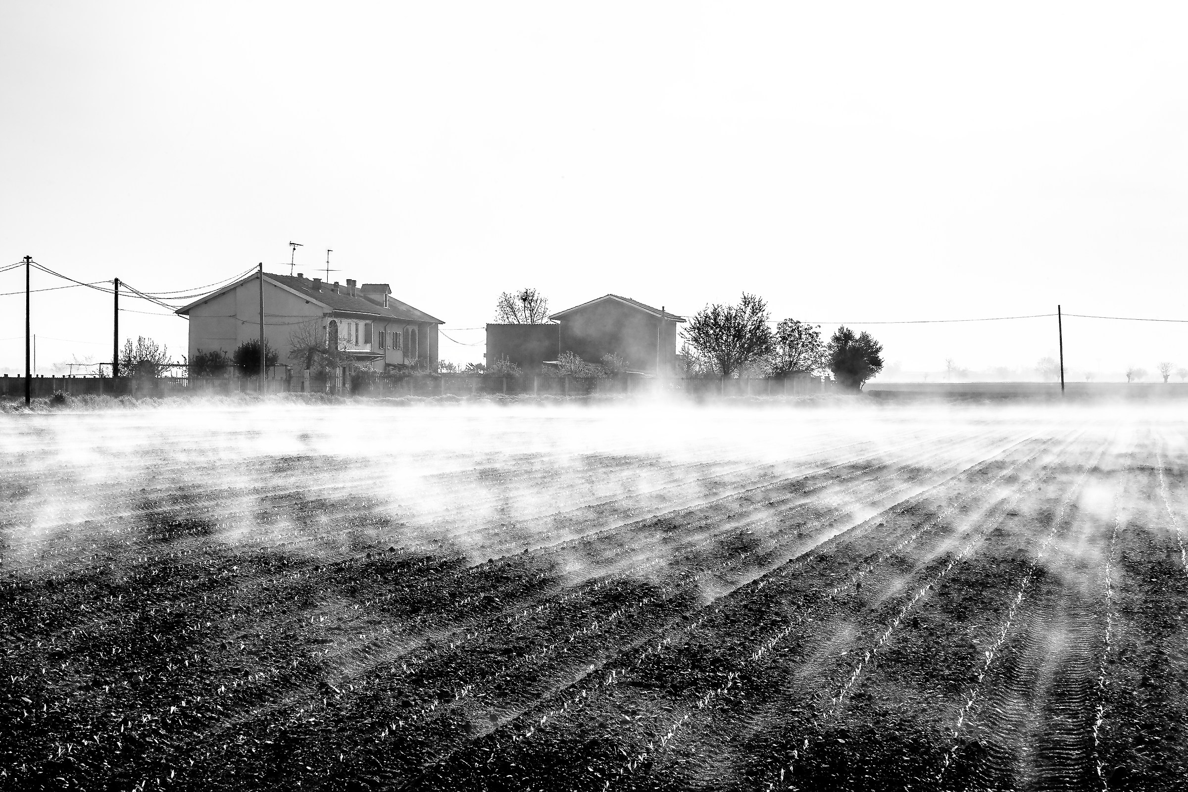 Mattina dopo il temporale