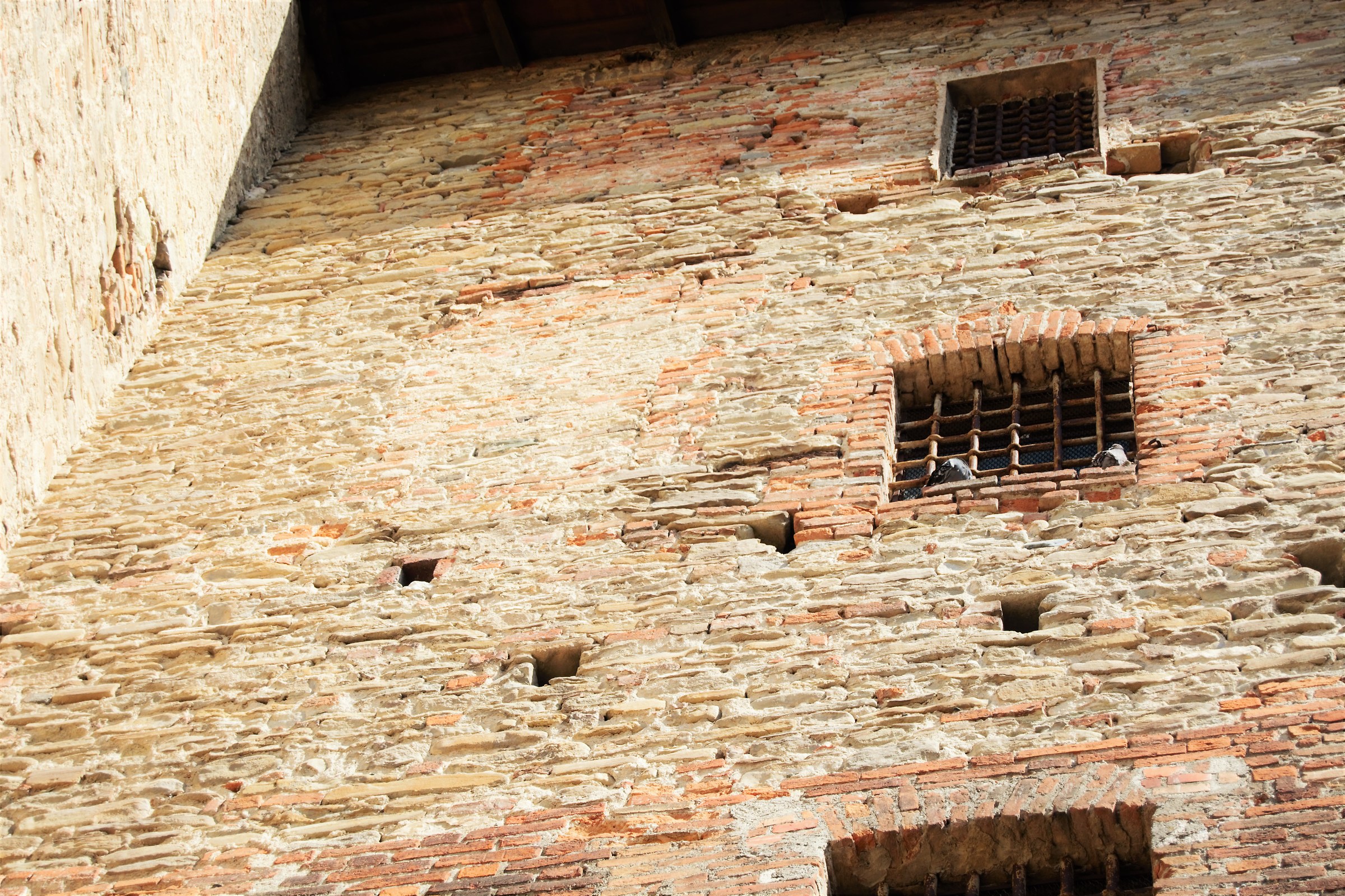 Wall Acqui Terme Castle