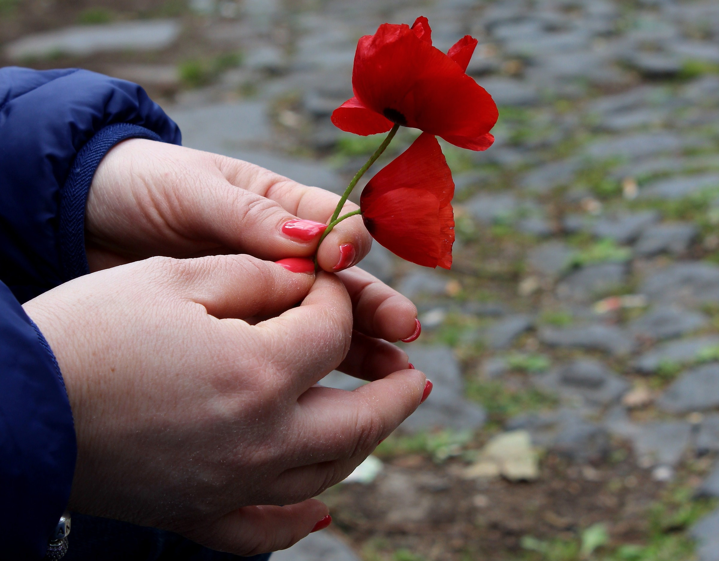 Un ricordo tra le mani