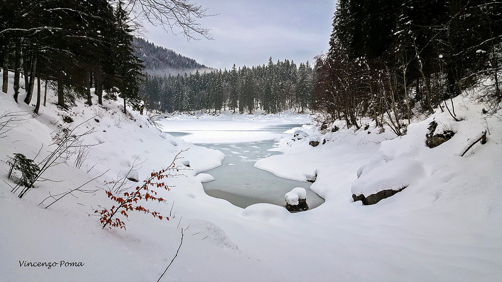 View of the Lower Lake Fusine