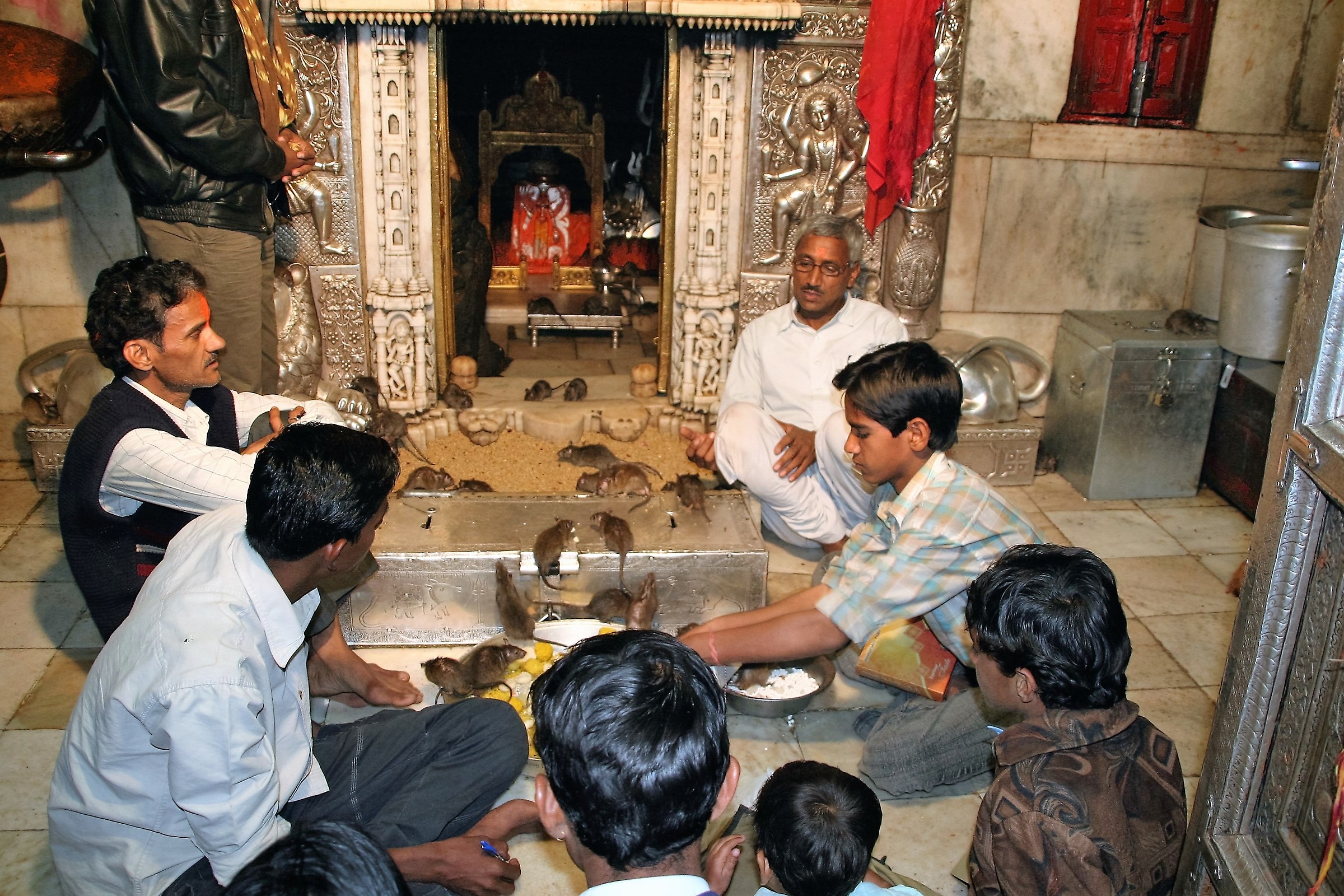 India temple of mice