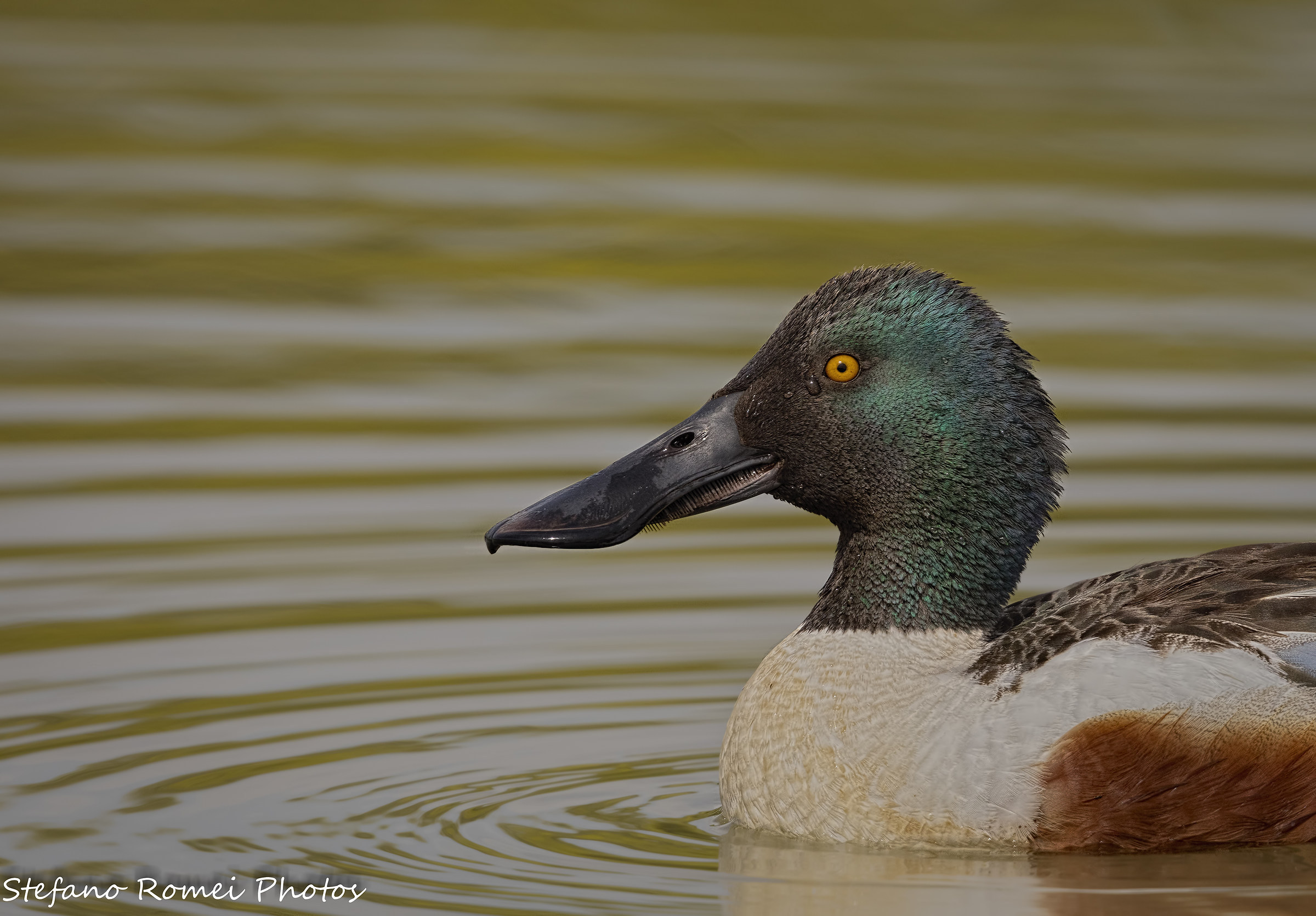 una lacrima sul viso