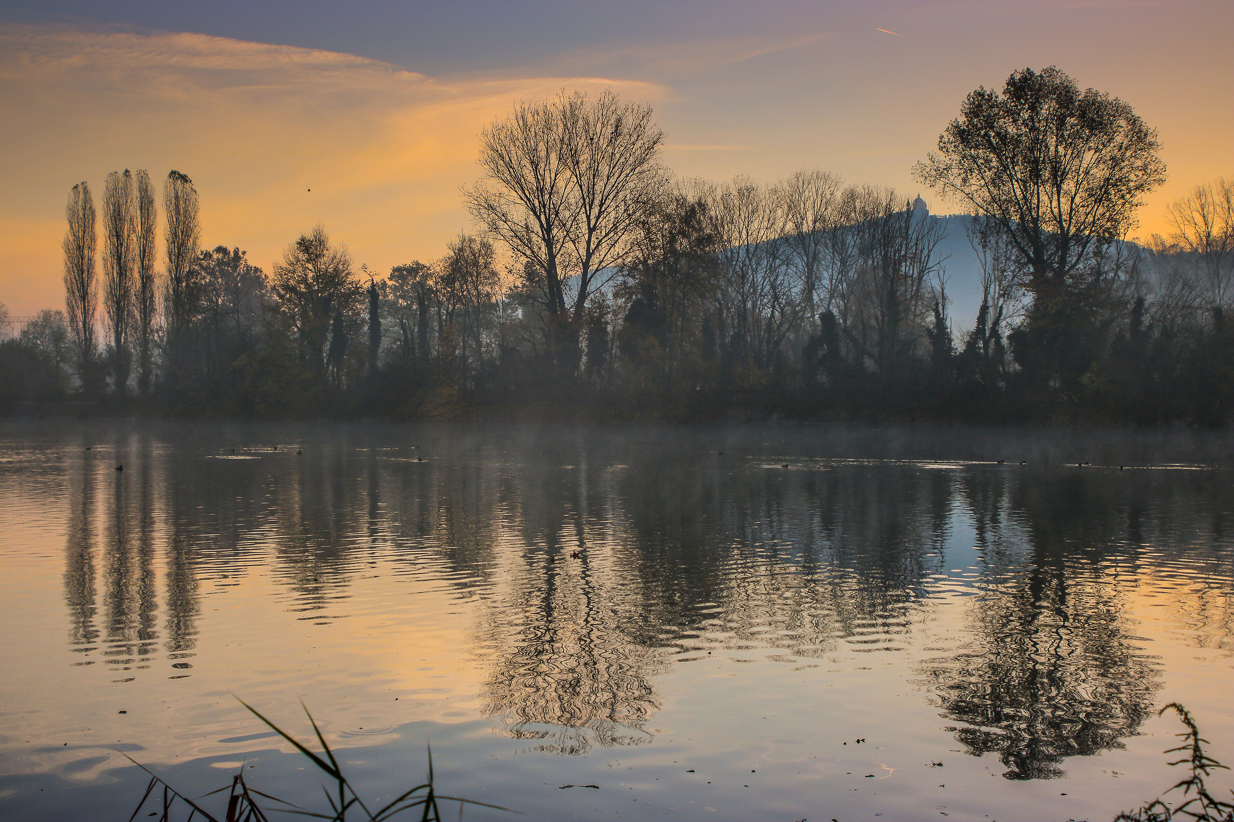 parco colletta canon 760+28/70 c/y