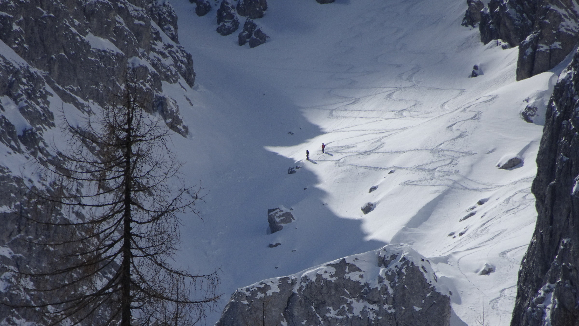 Forcella Rinsen forte ingrandimento