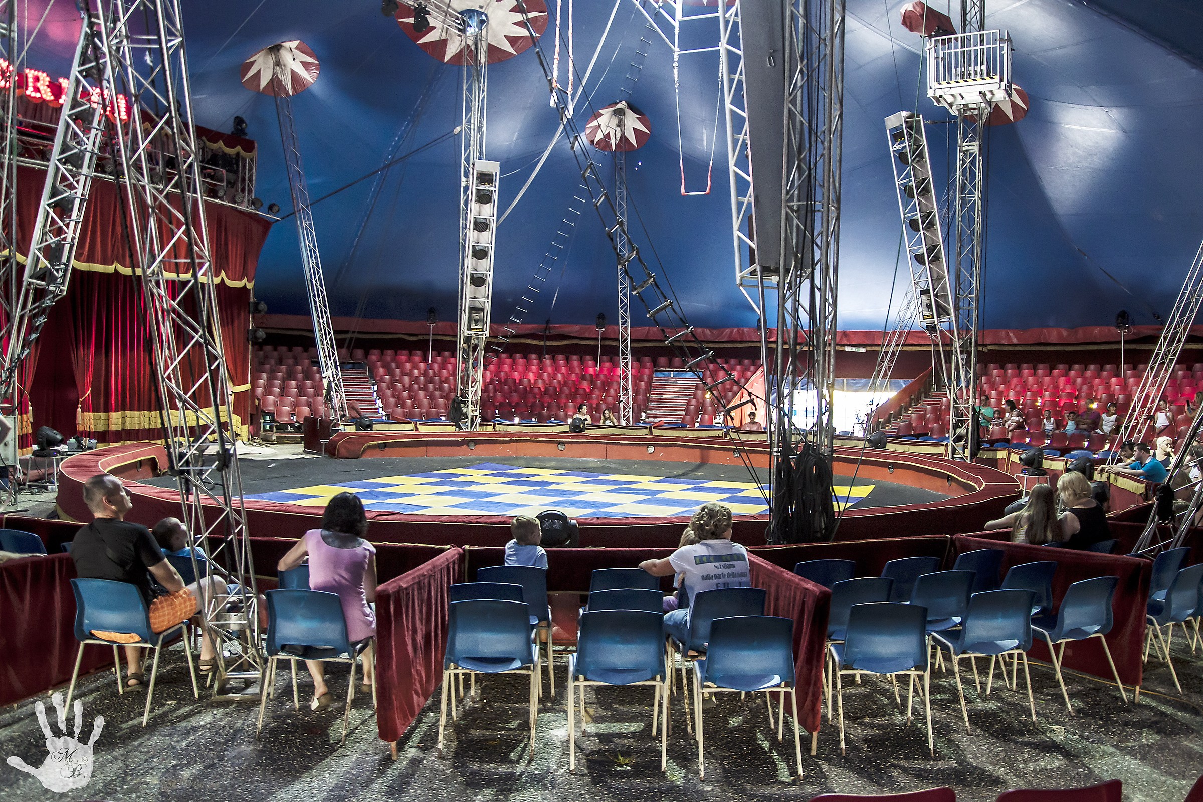 The Circus