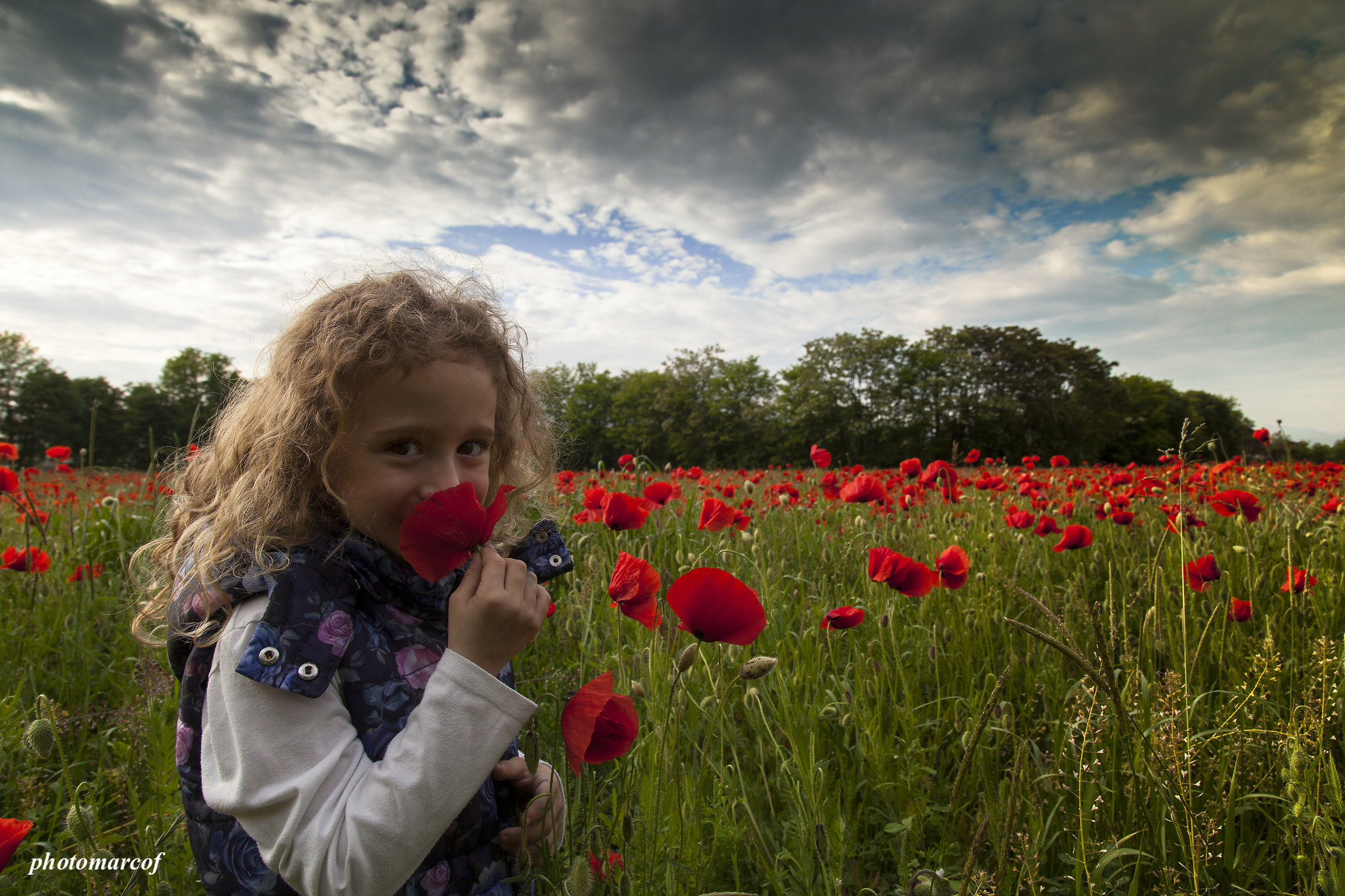 You know that poppies ...