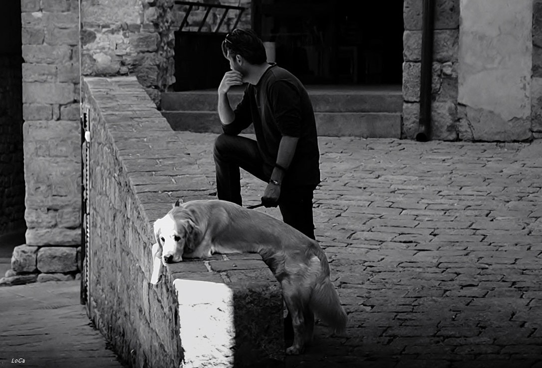 A ognuno il proprio mondo