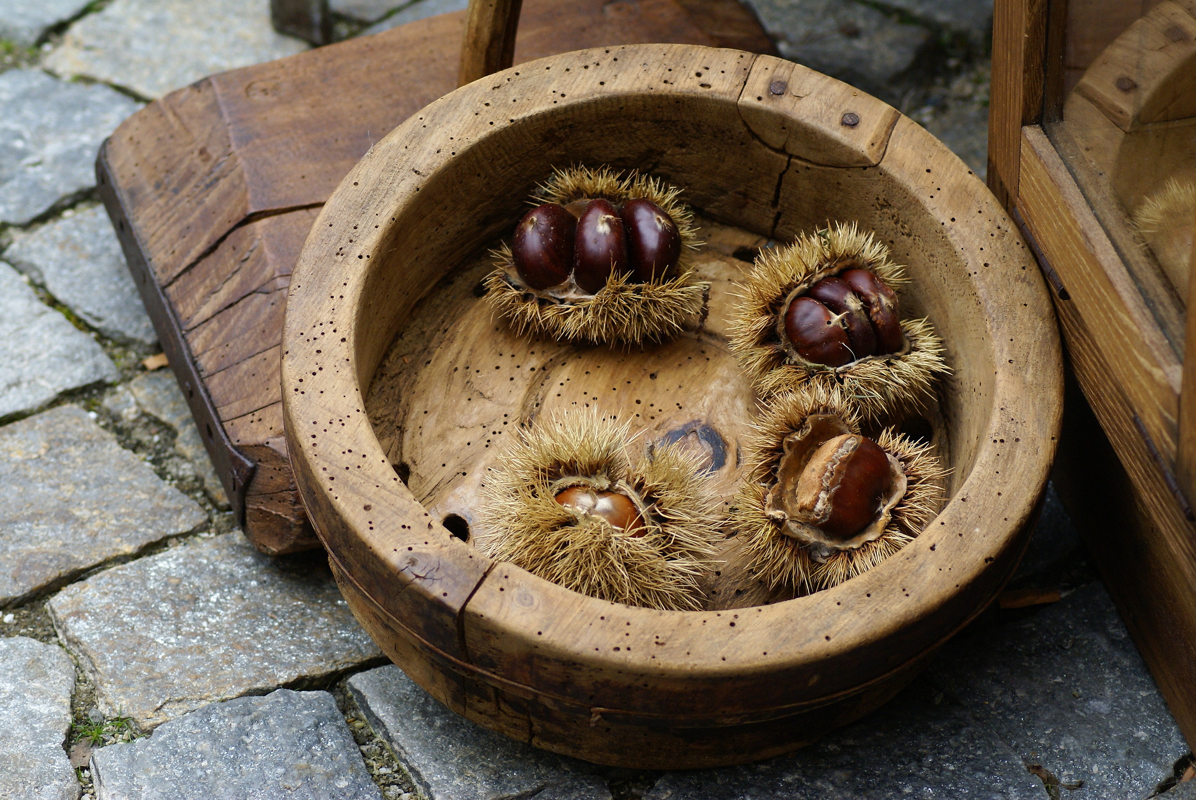 wood, weather, fruits ...