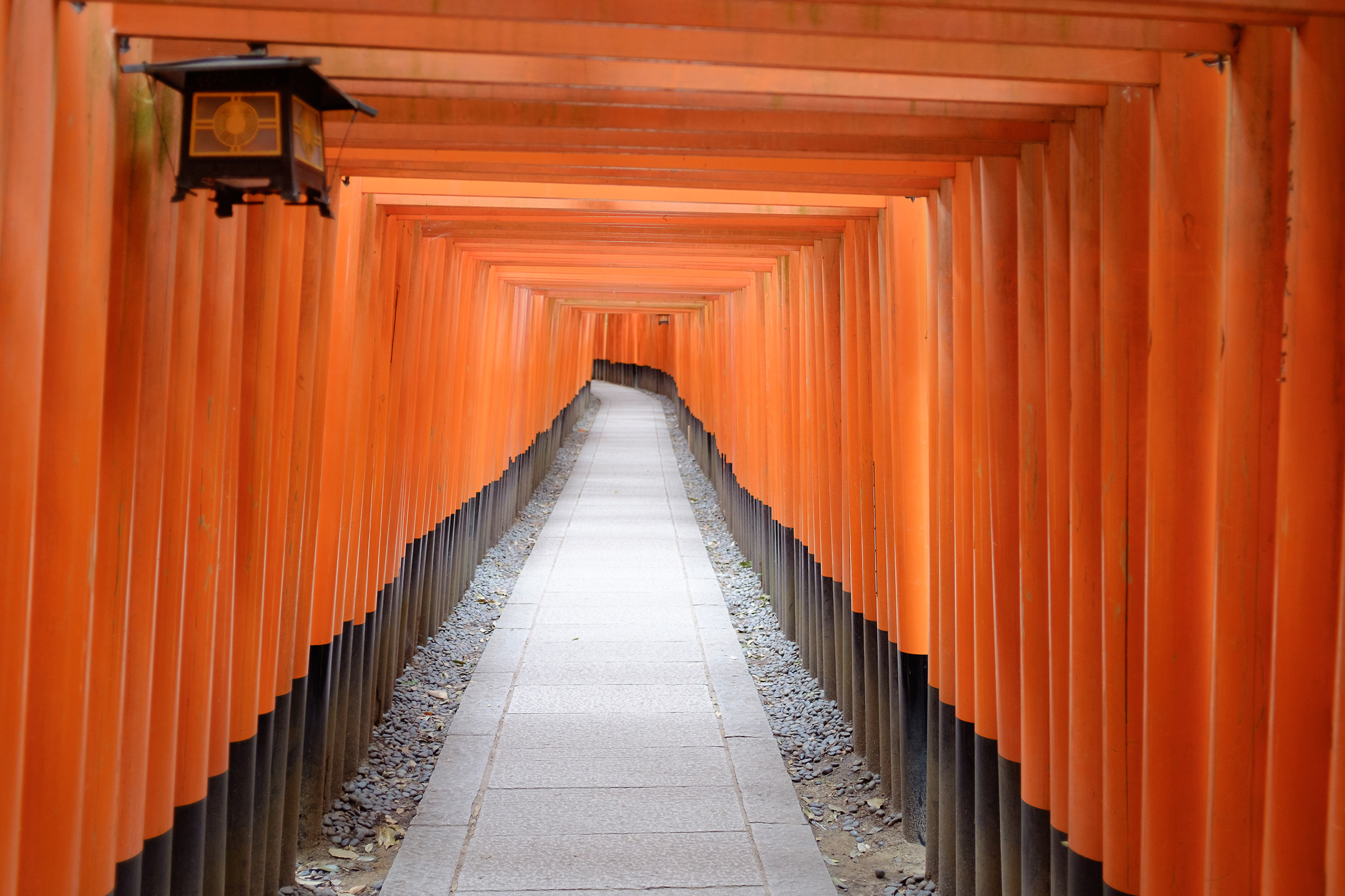 Fushimi Inari Taisha, Kyoto