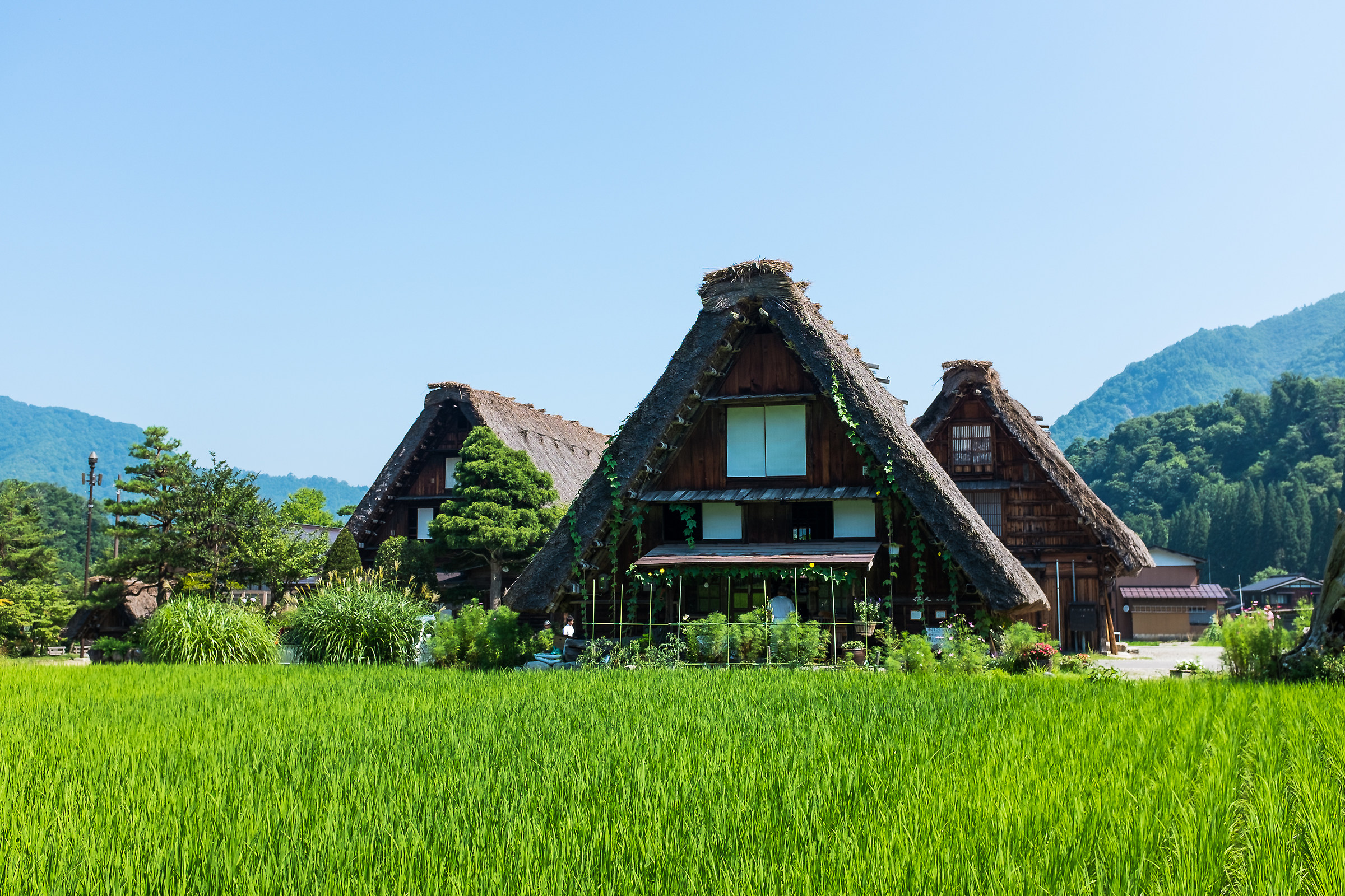 Le abitazioni tradizionali di Shirakawago