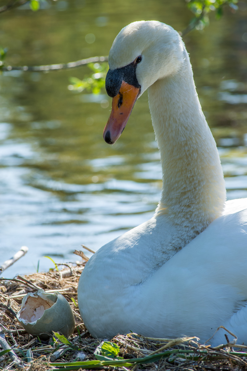 Il sorriso di una madre