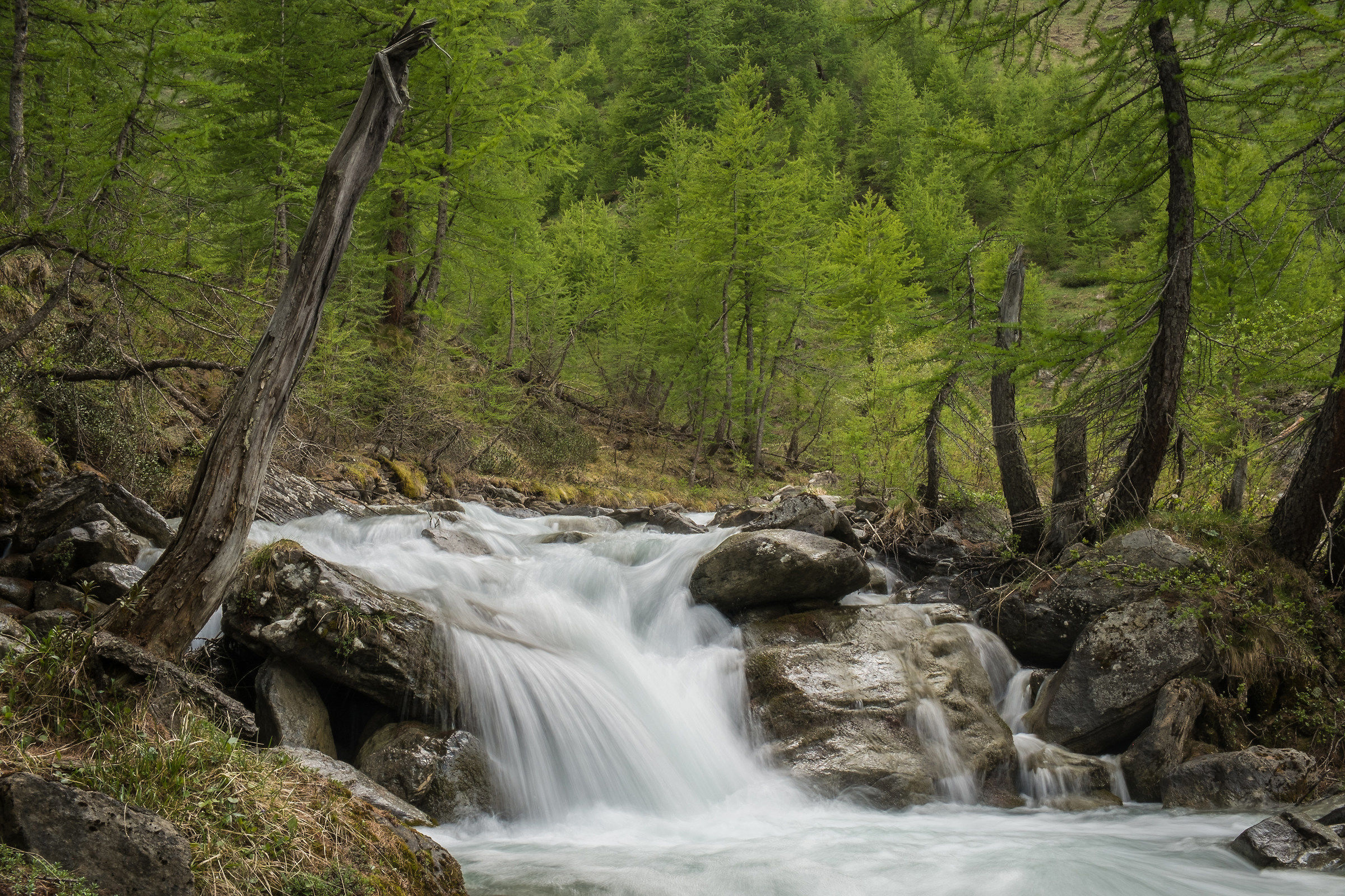 effetto seta, appunto...