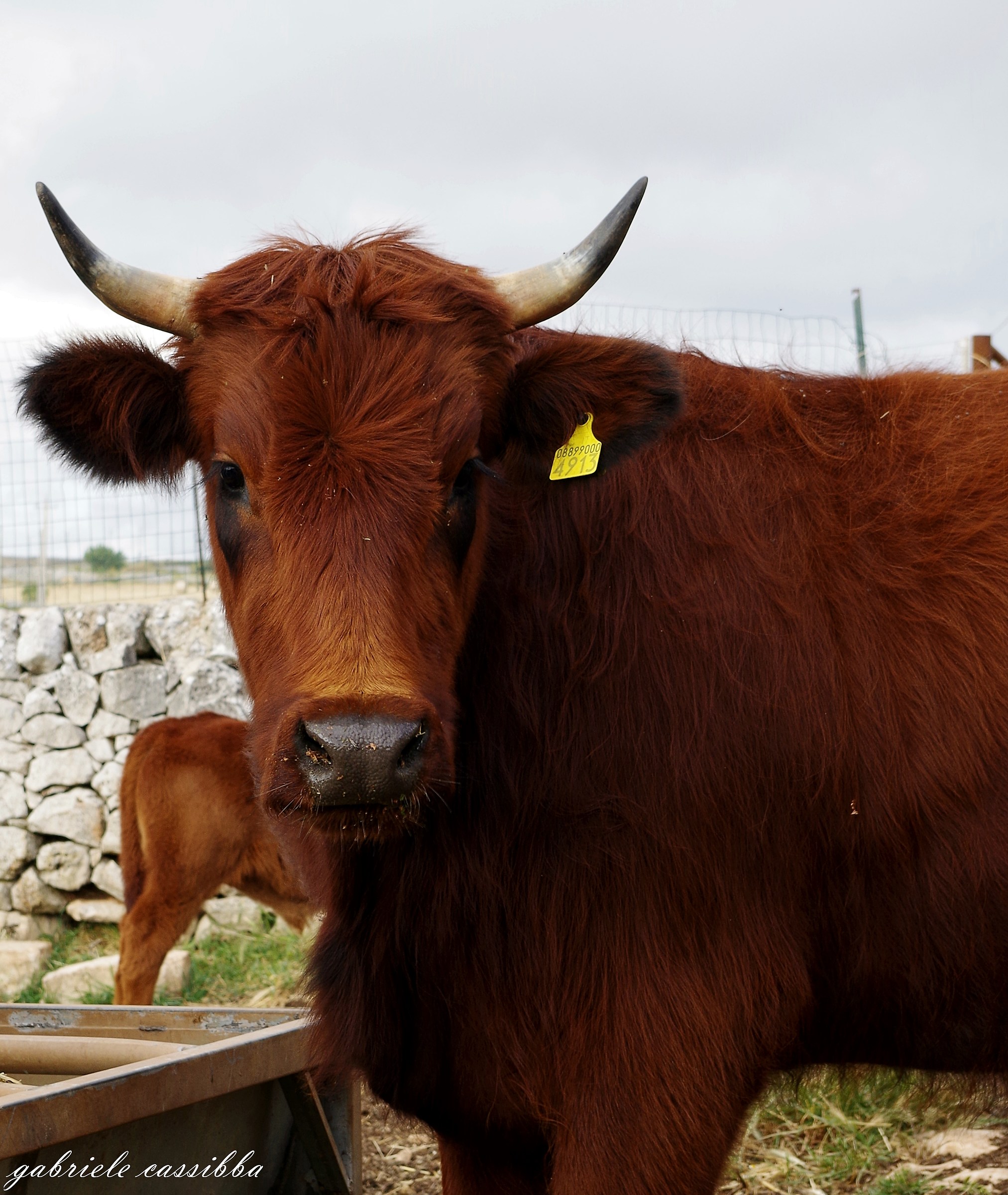 What do you human?!?!