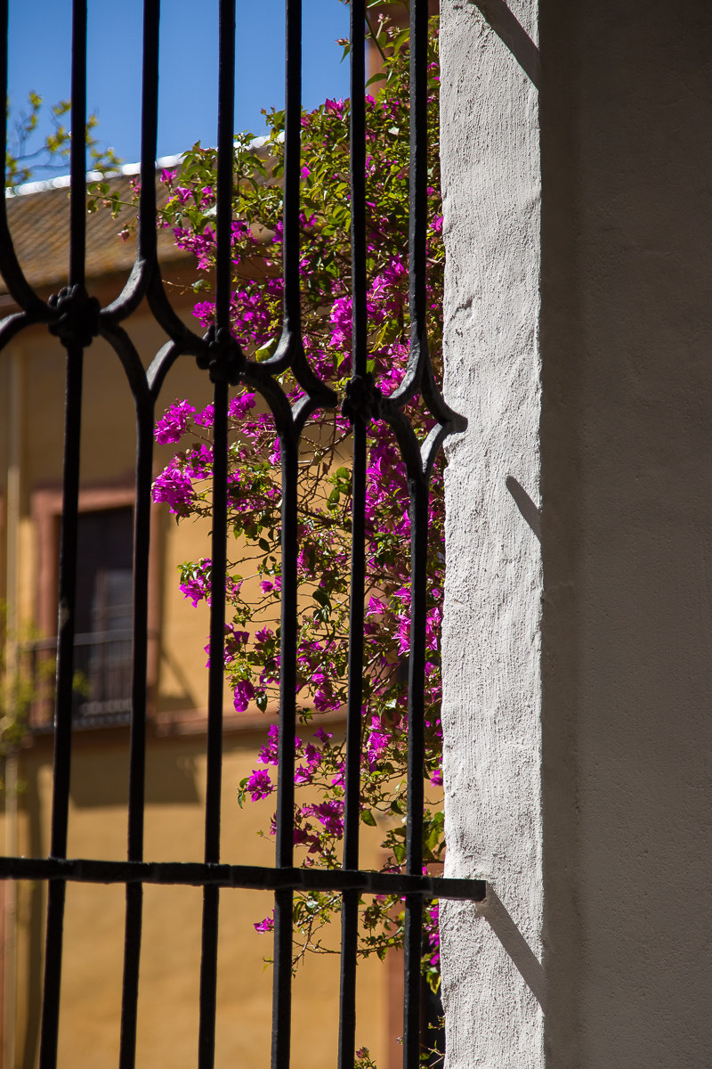 Alcazar, Seville