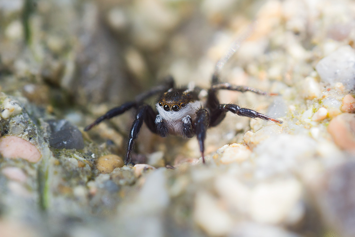 looking for something