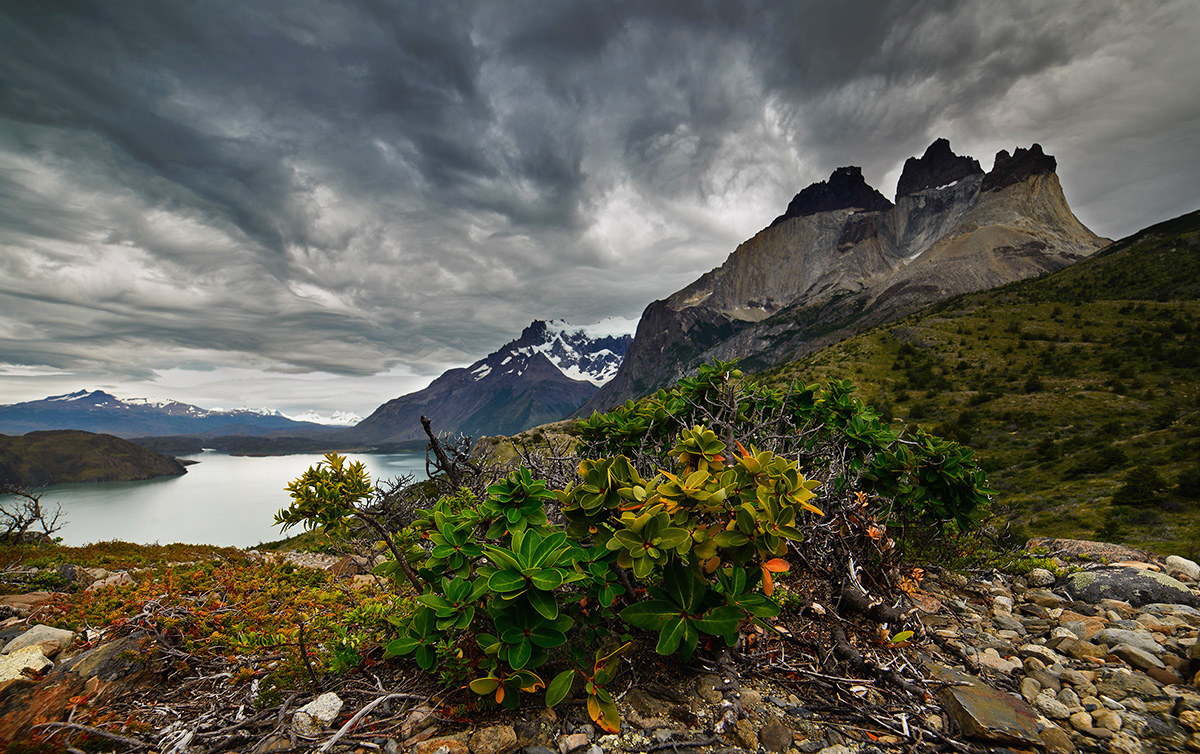 Cuernos del Paine